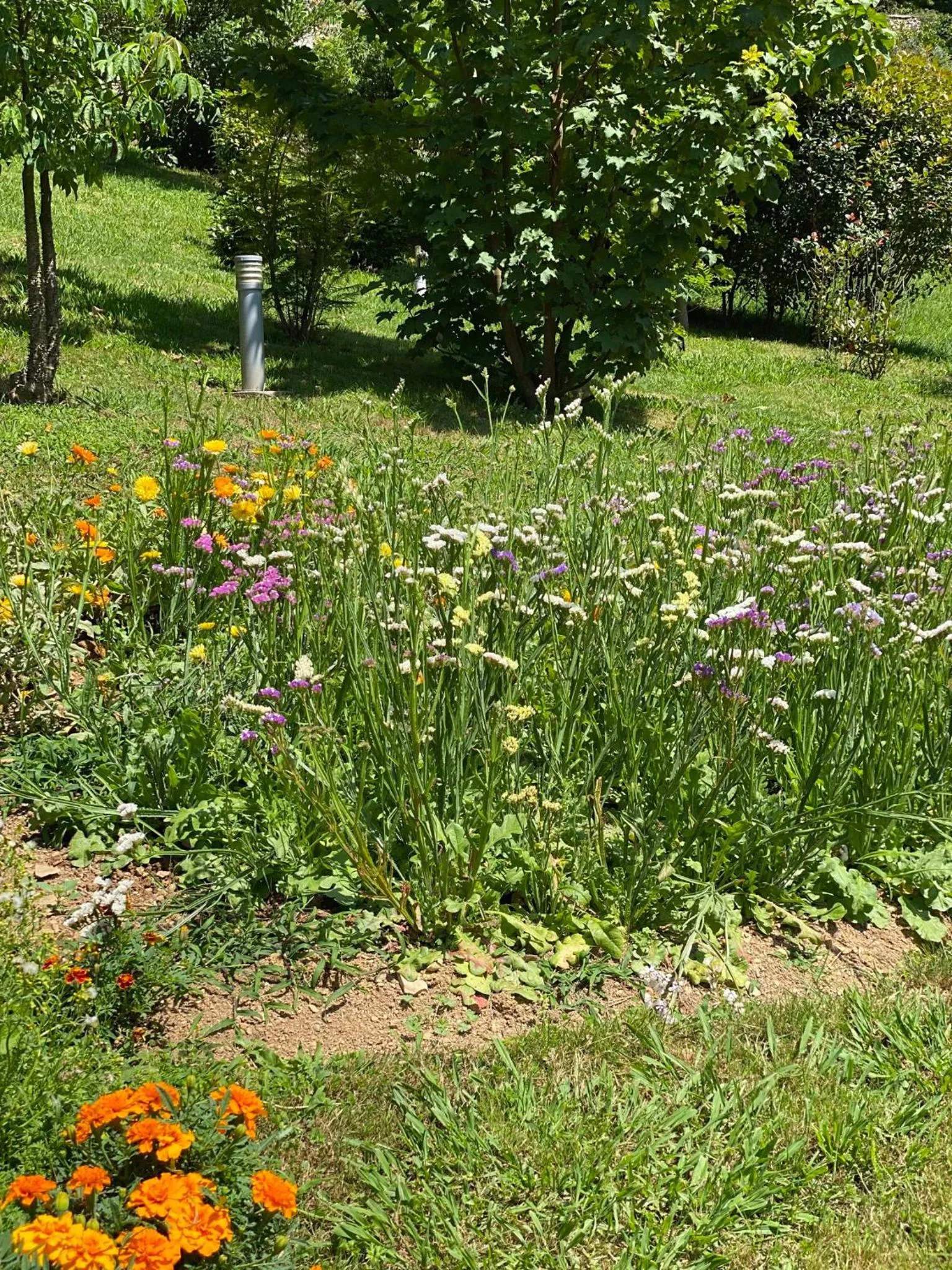 Garden in Finca Portizuelo