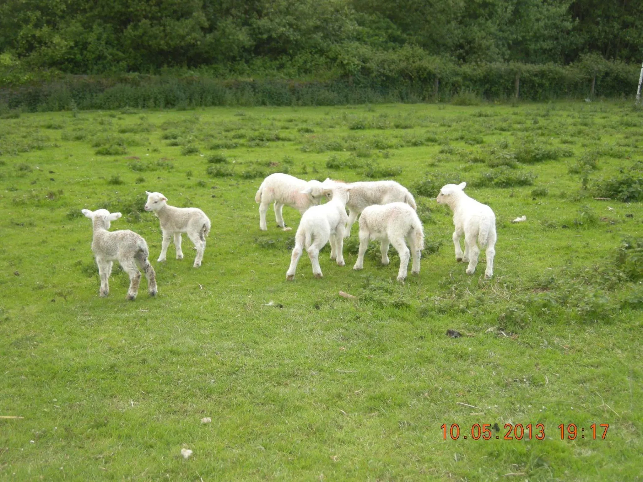 Garden in Finca Portizuelo