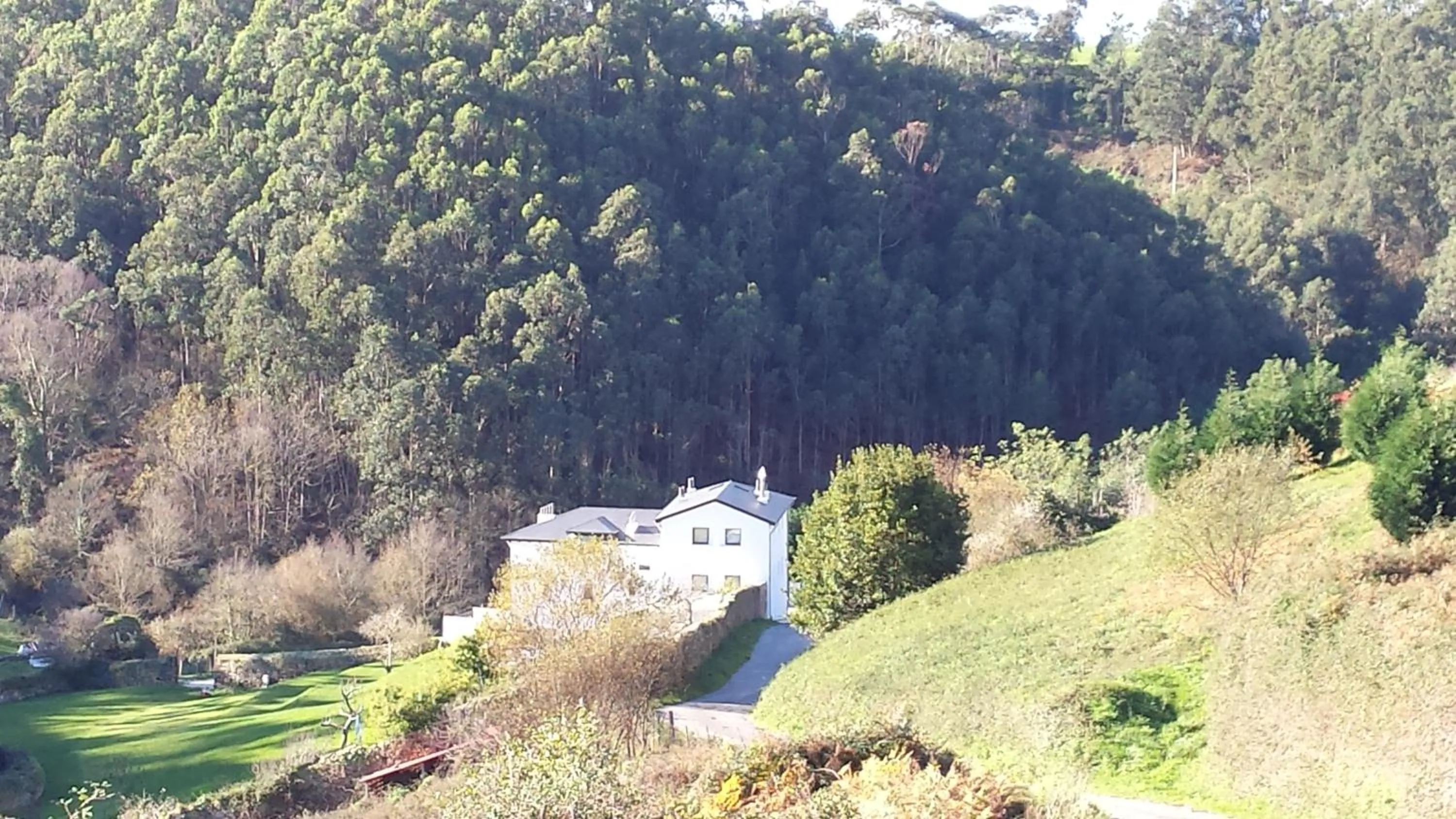 Area and facilities in Finca Portizuelo