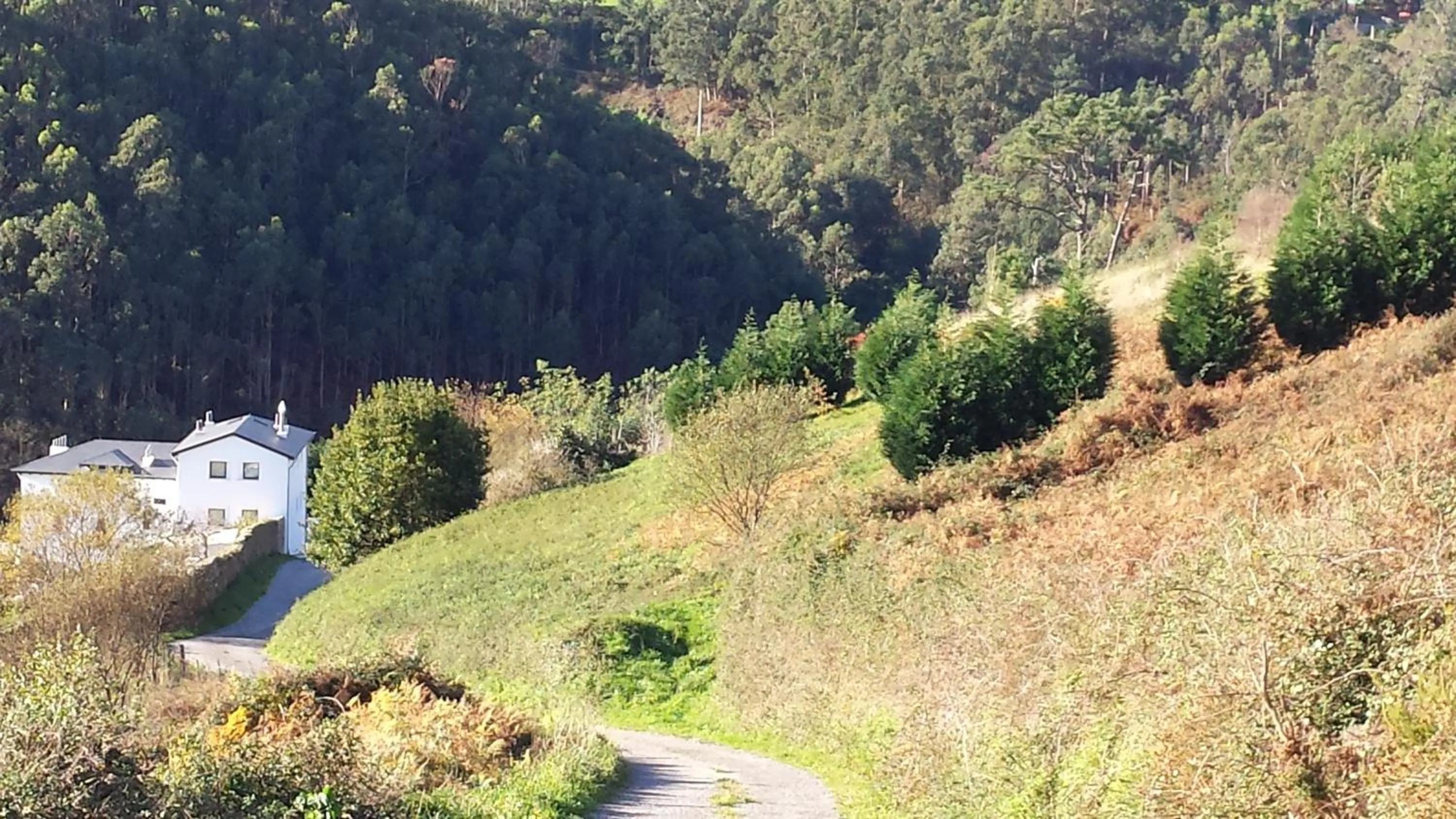 Natural landscape in Finca Portizuelo