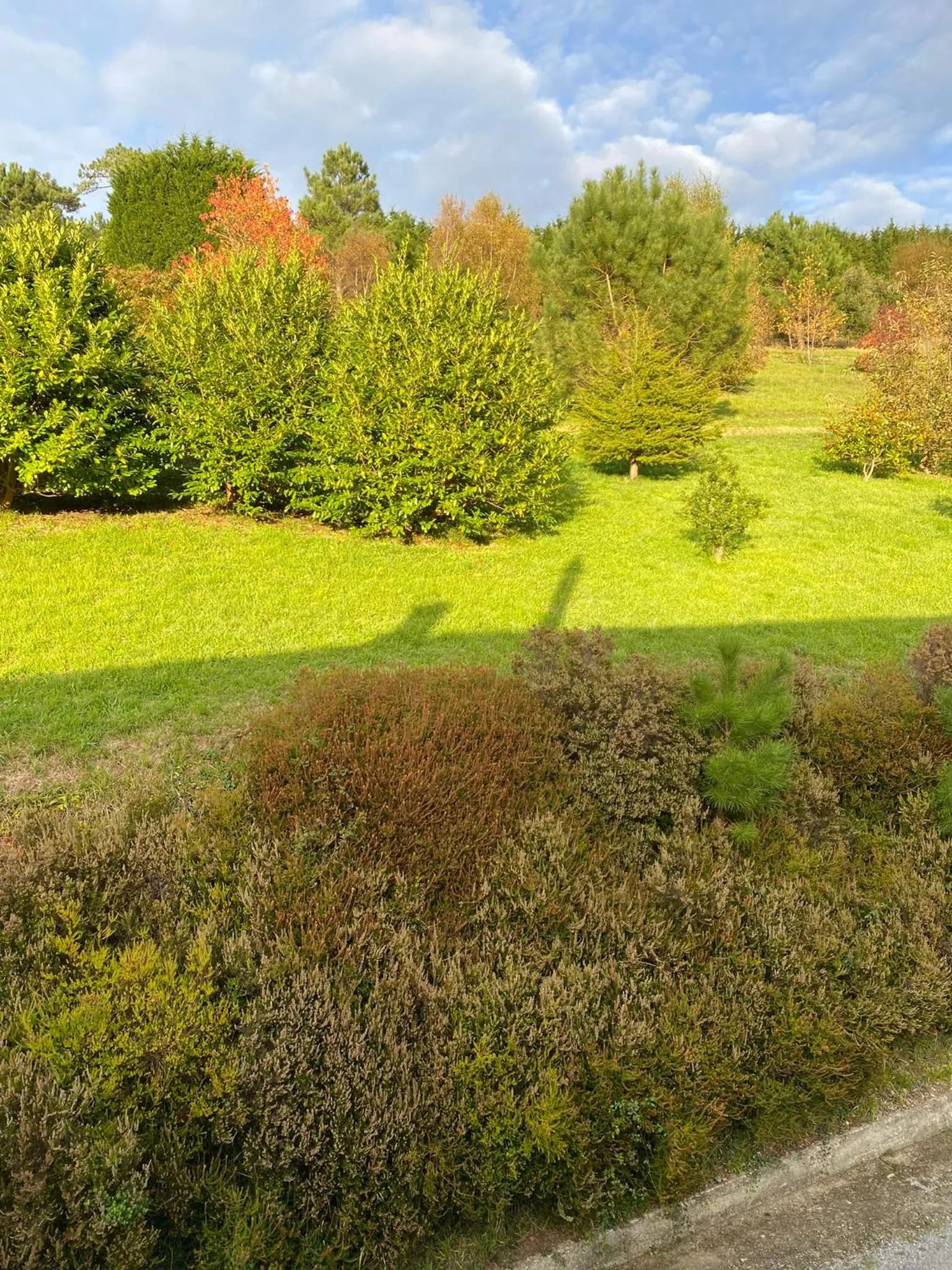 Garden in Finca Portizuelo