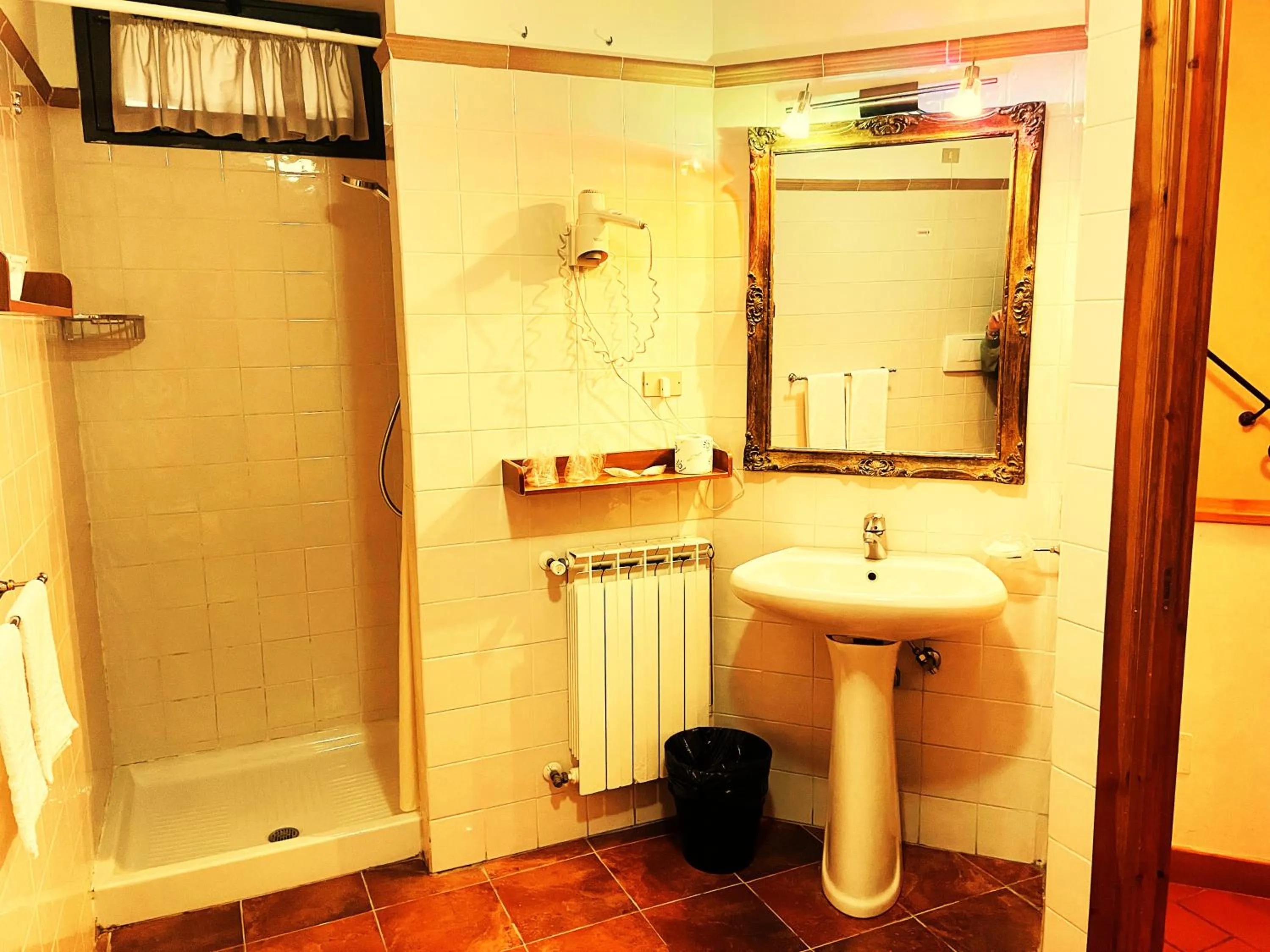 Shower in Hotel Residence La Contessina