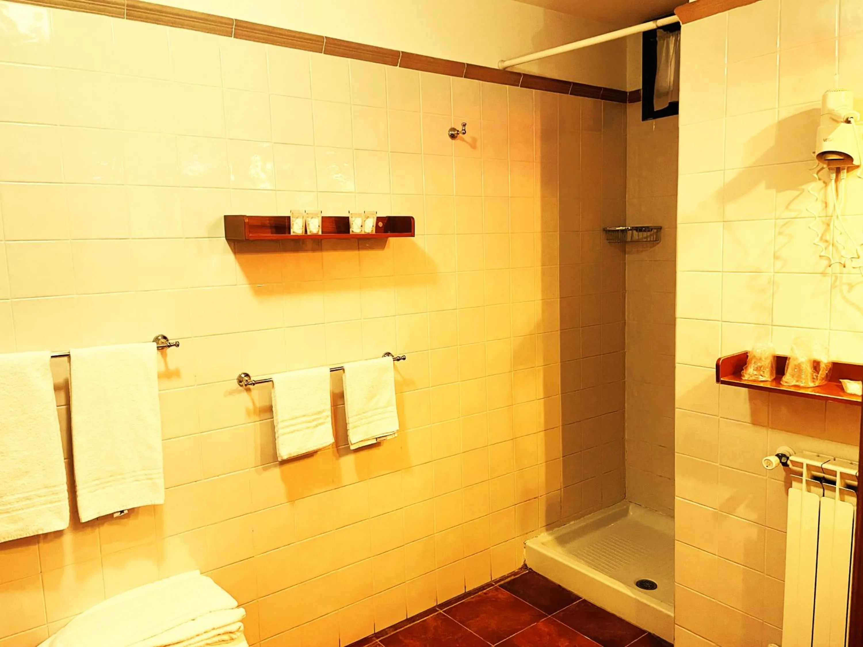 Shower in Hotel Residence La Contessina