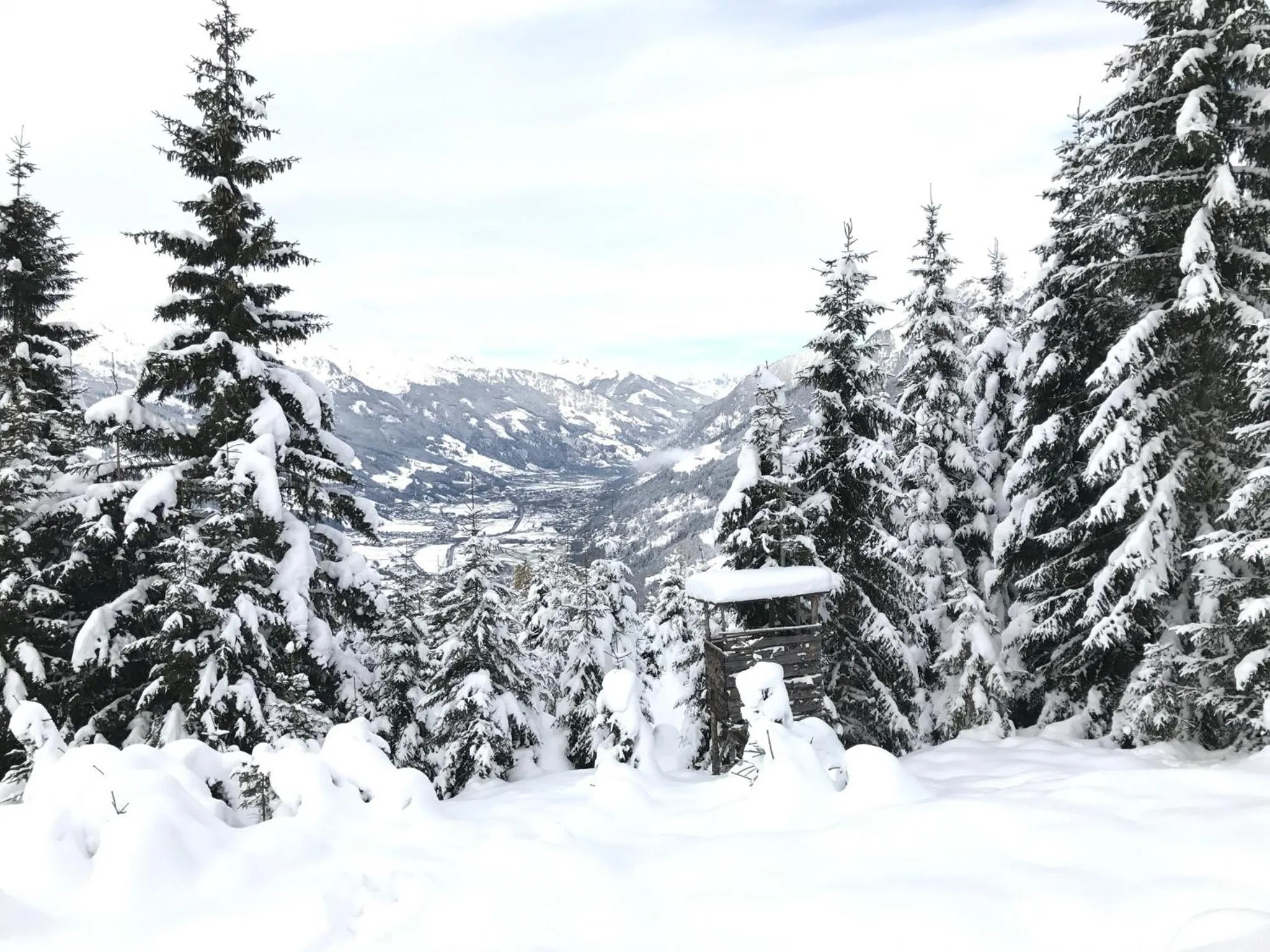 Skiing in Landhaus Rathgeb