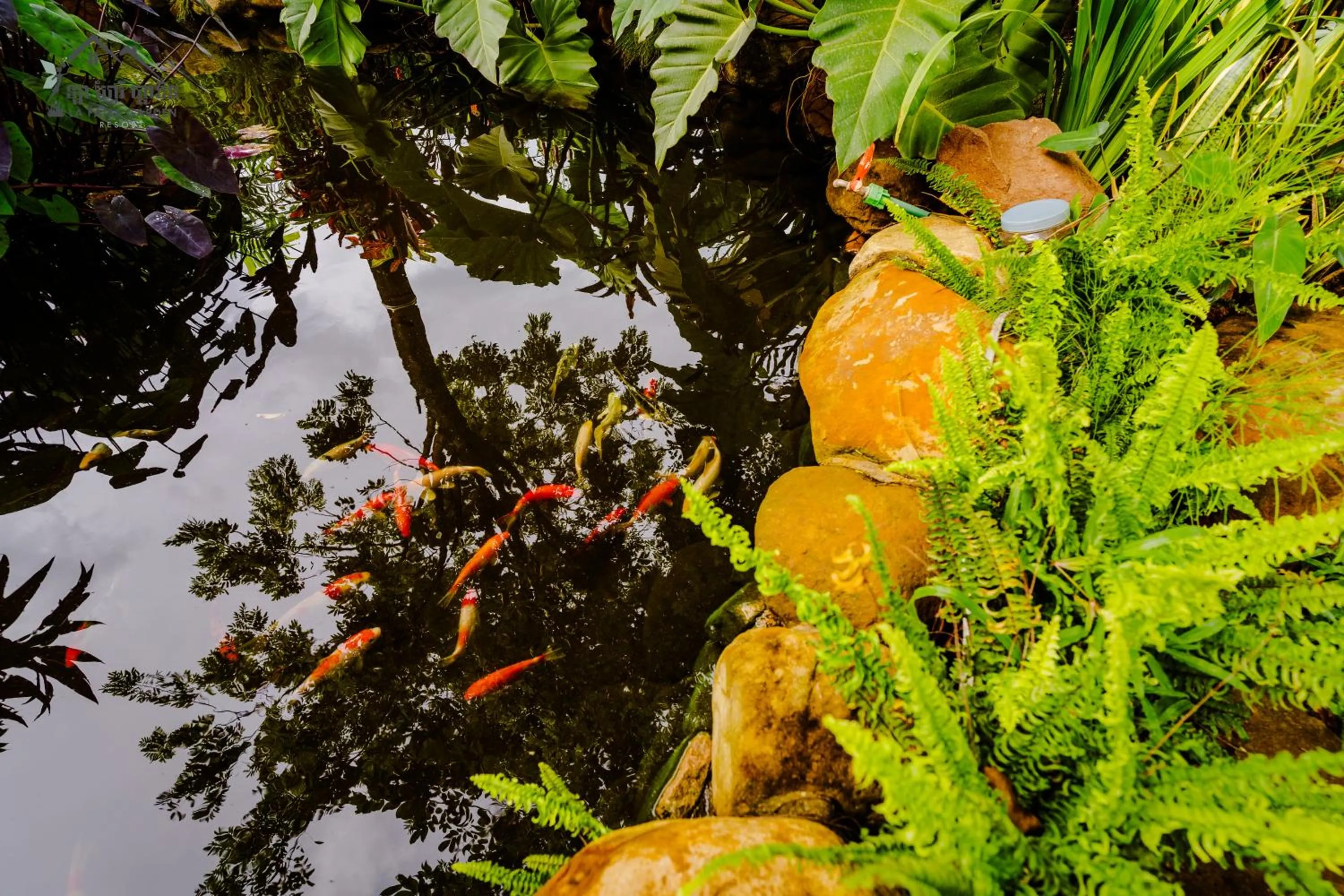 Day in La Fairy Garden Resort