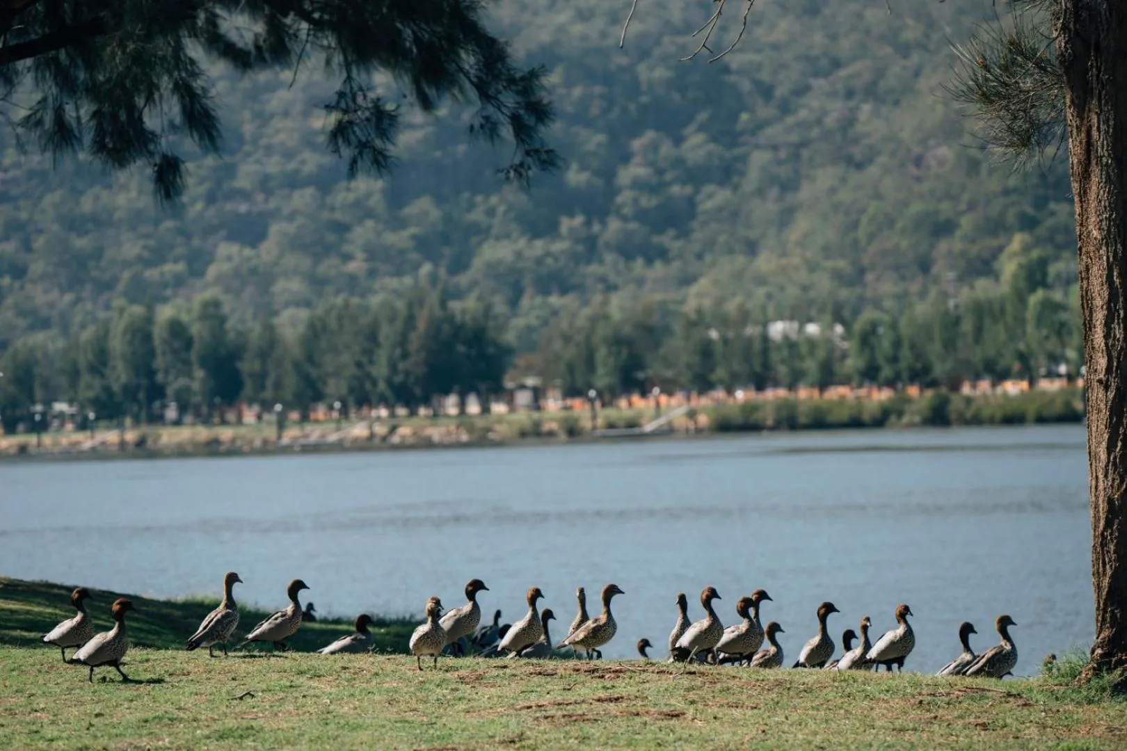 Del Rio Riverside Resort