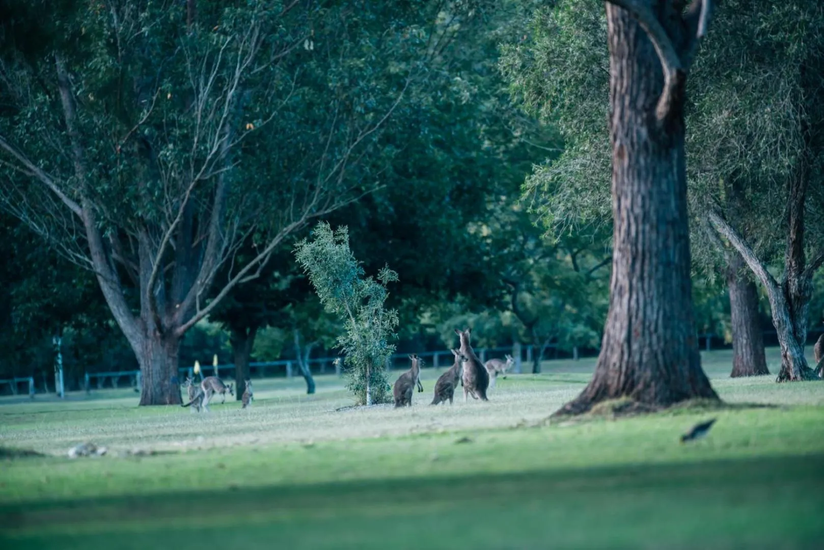 Del Rio Riverside Resort