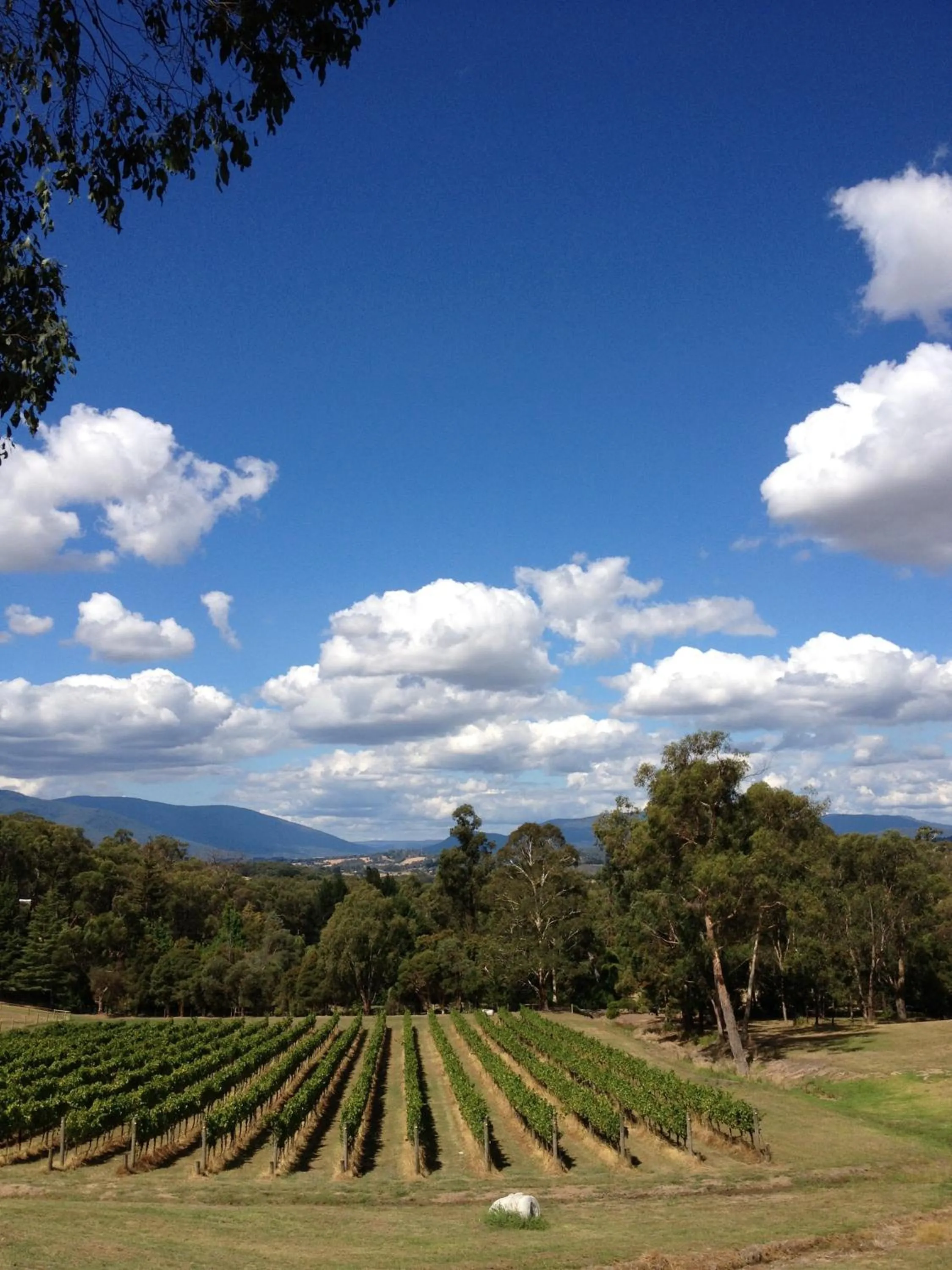 Day in Seville Estate