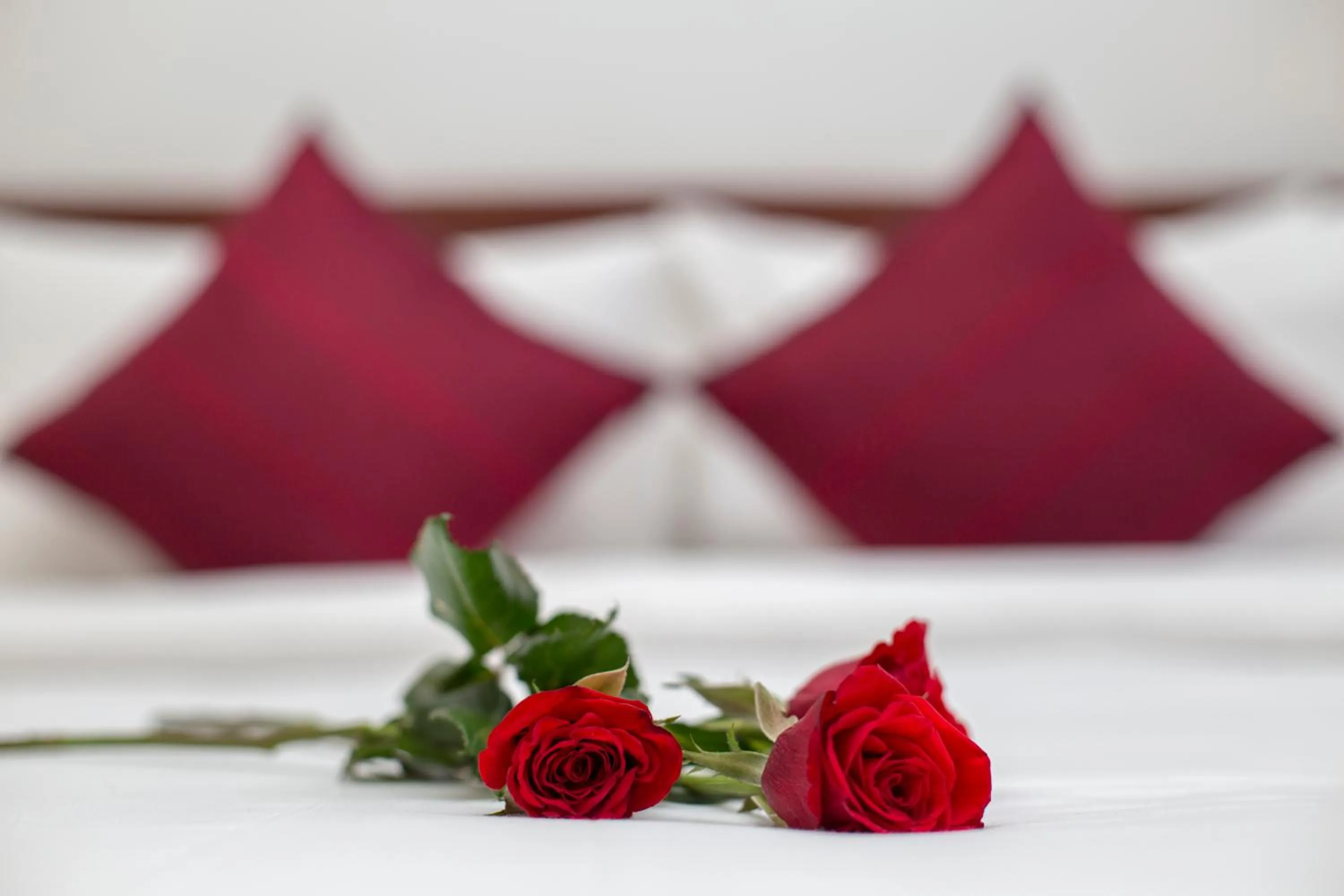 Bedroom, Bed in Solitaire Damnak Villa Hotel