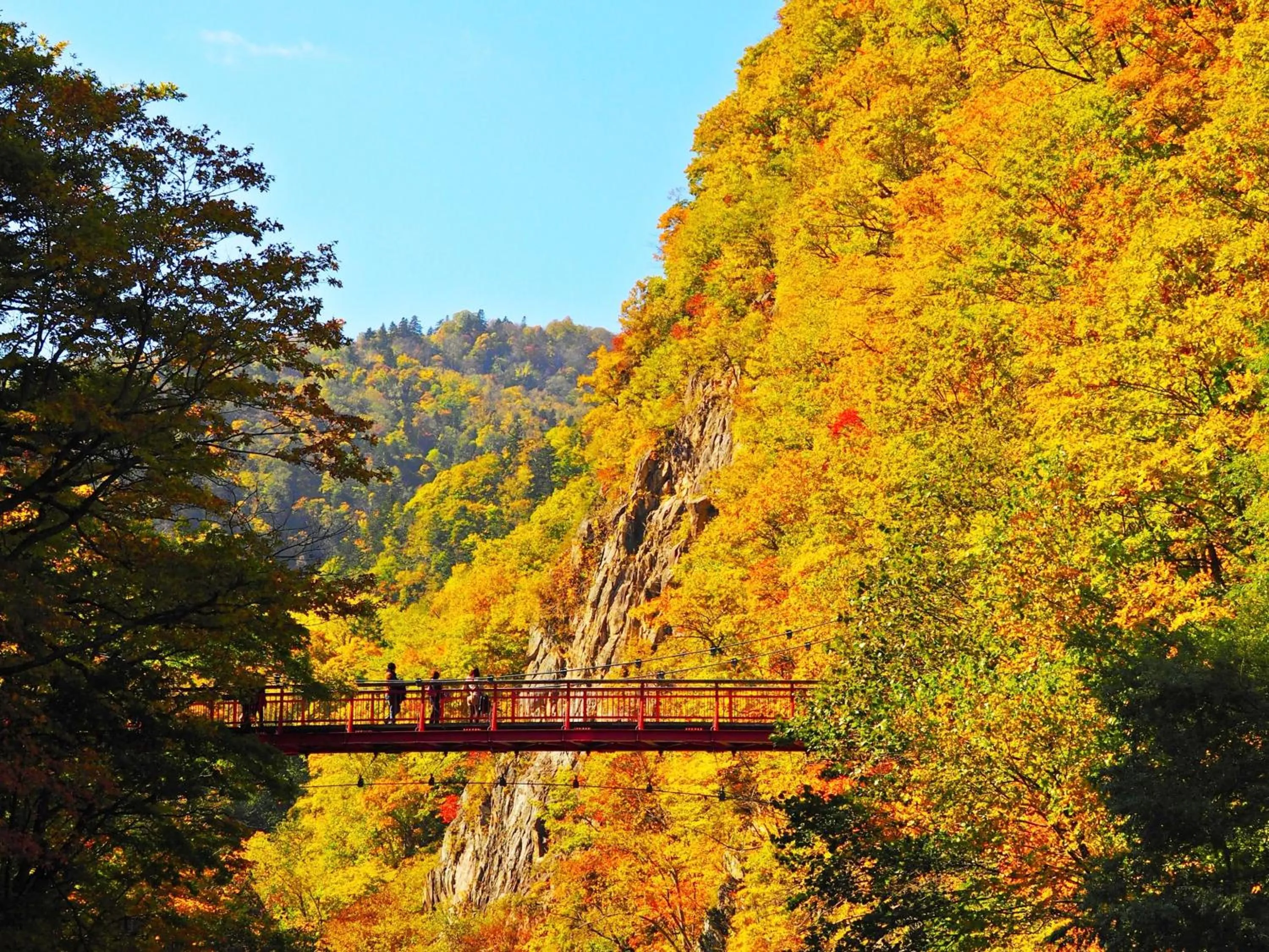 Nearby landmark in HanaMOMIJI
