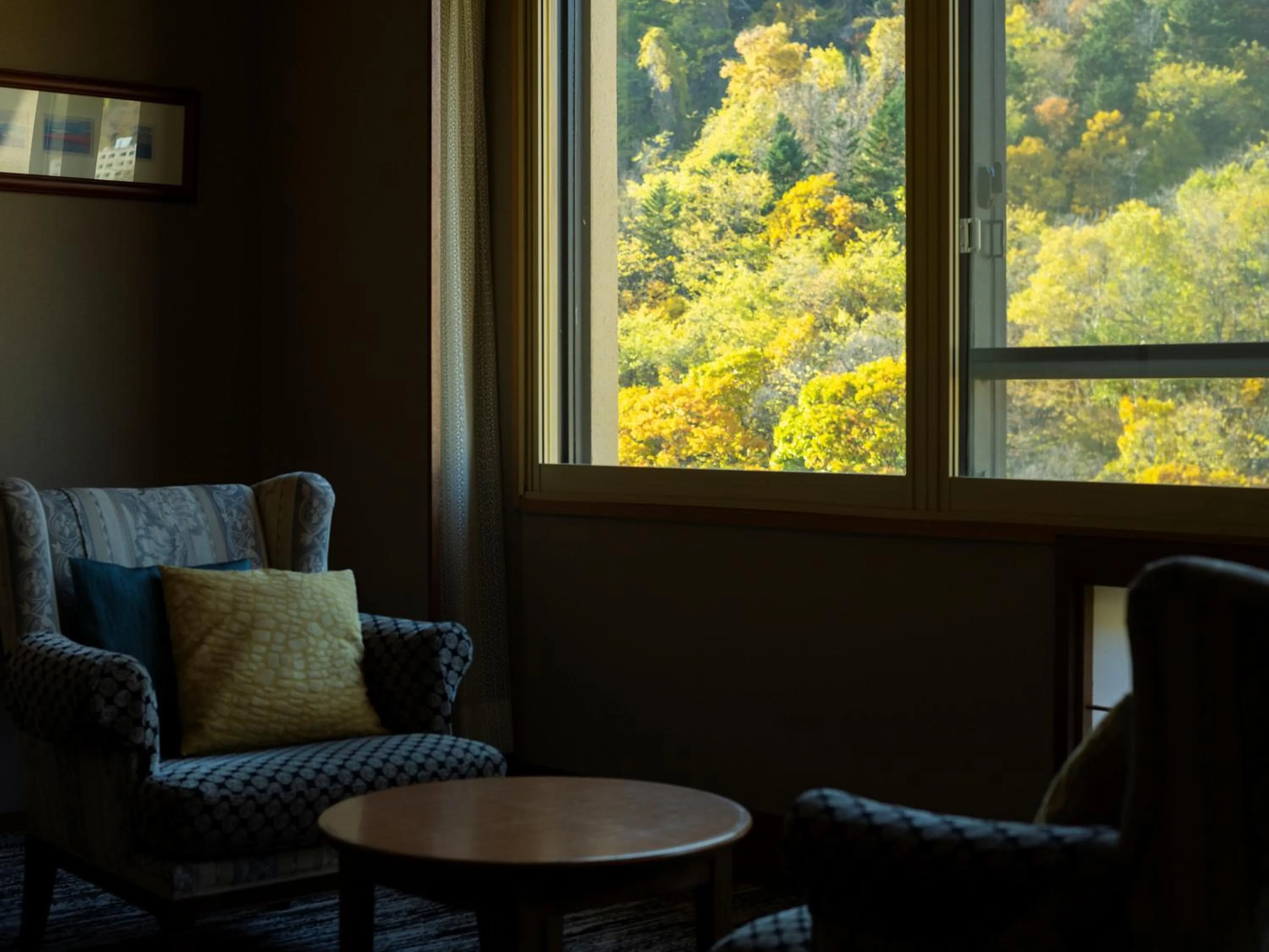 Photo of the whole room in HanaMOMIJI