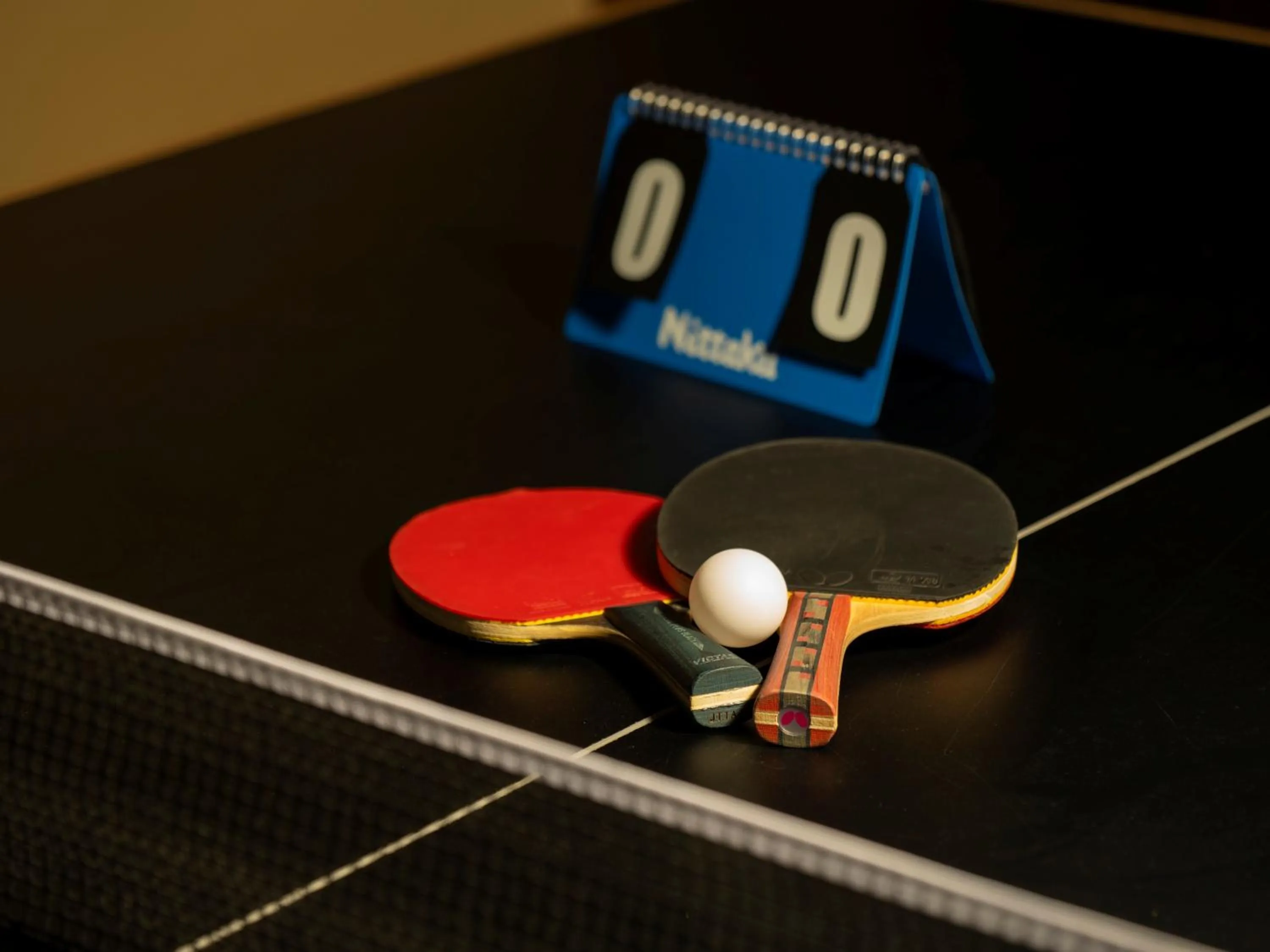 Table tennis in HanaMOMIJI