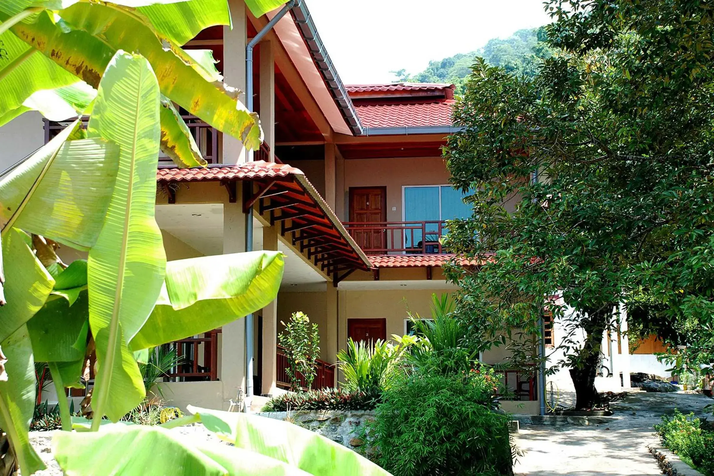 Property building in Tioman Dive Resort Property building in Tioman Dive Resort