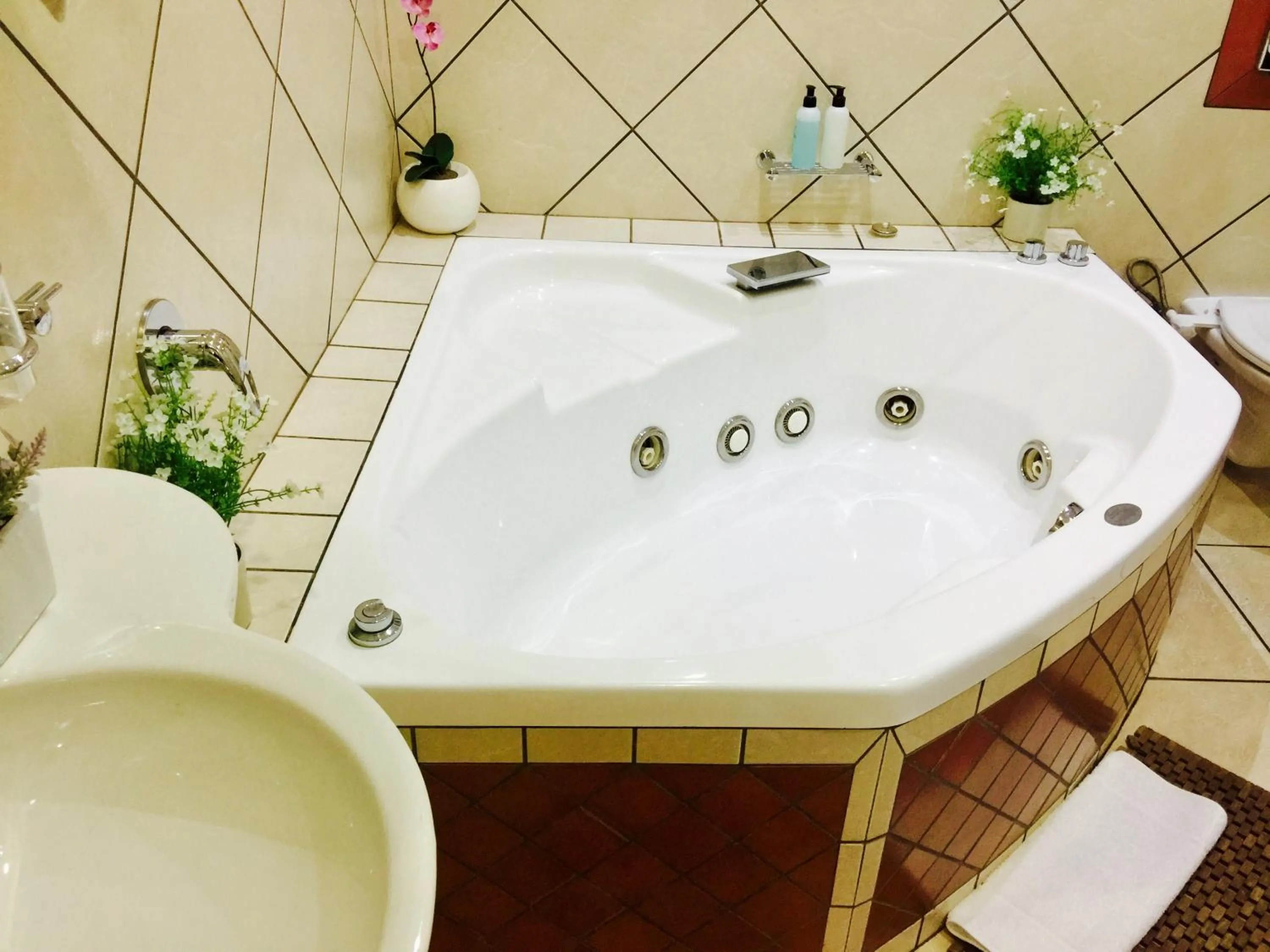 Toilet in Waterkloof Guest House