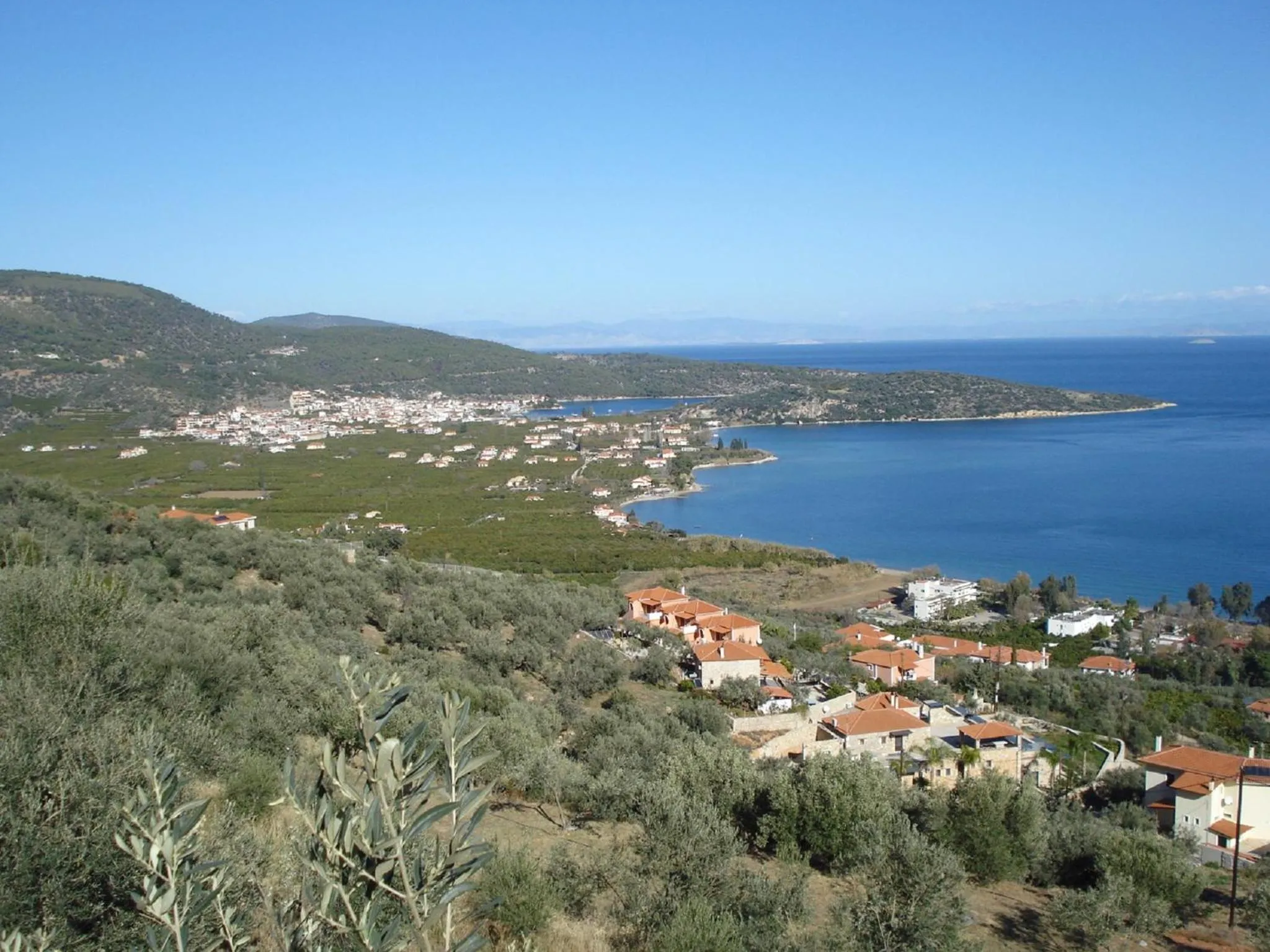 Garden in Athina EcoFarm
