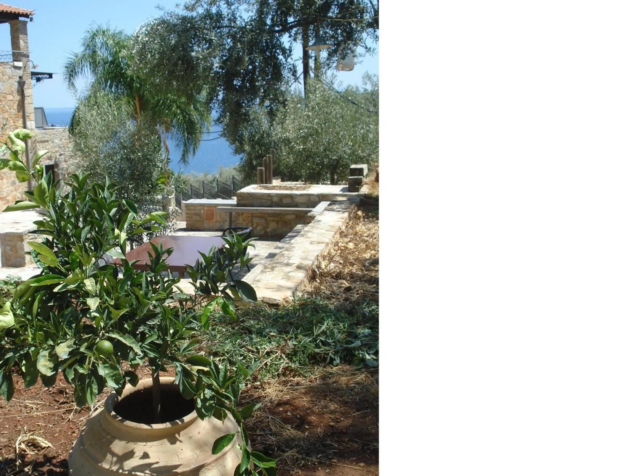 Sea view in Athina EcoFarm