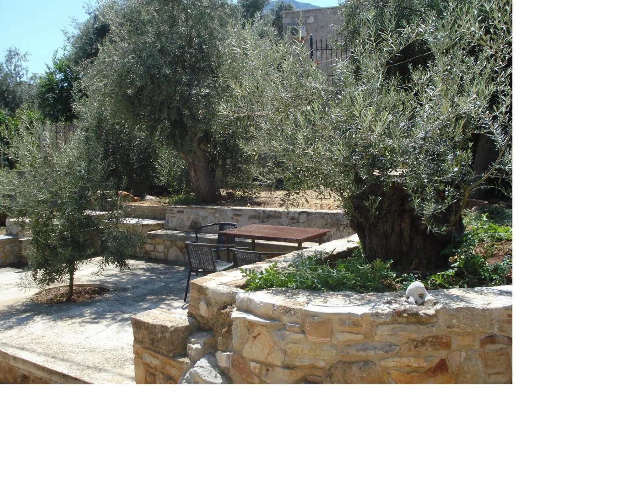 Garden in Athina EcoFarm