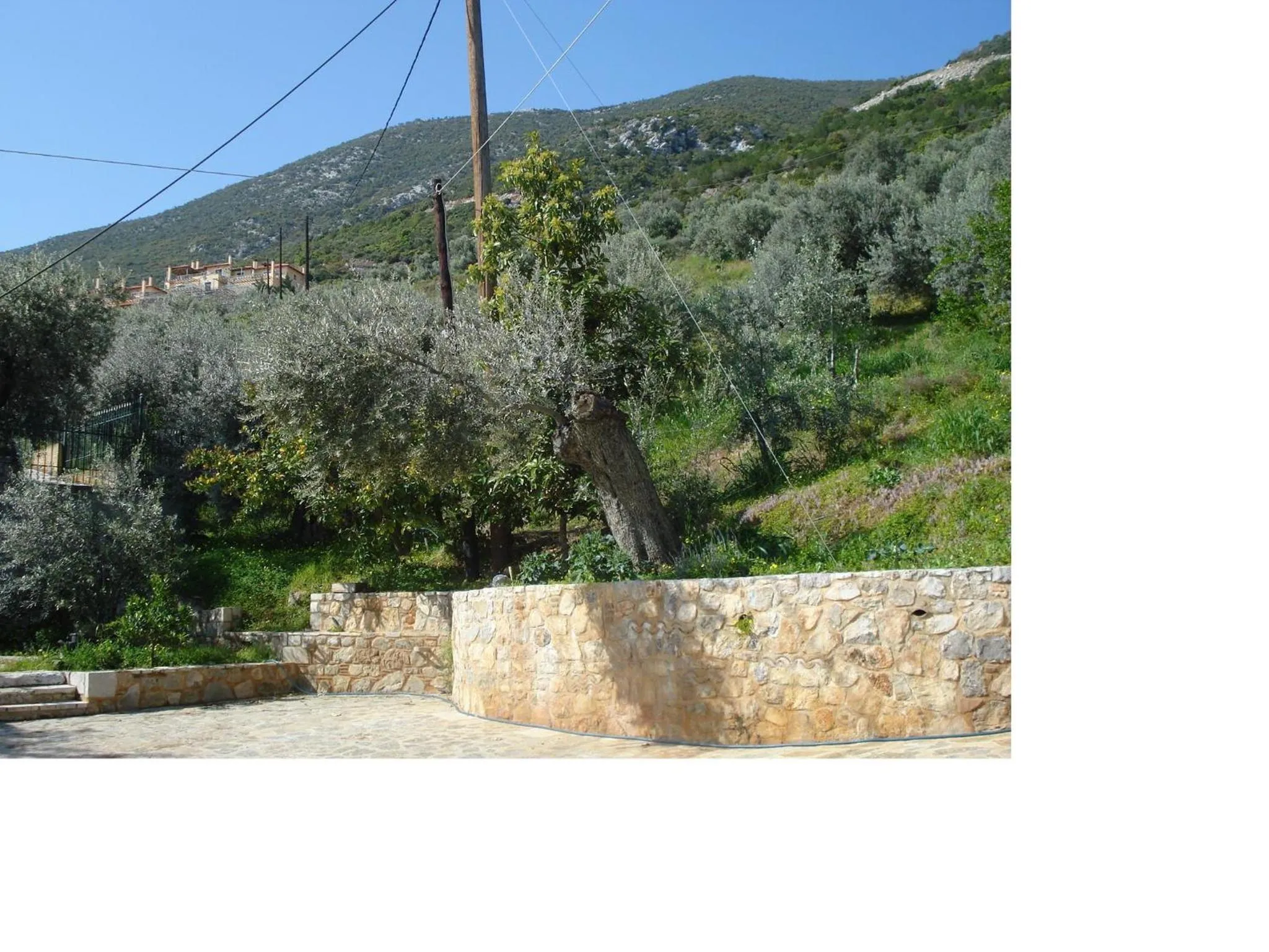 Natural landscape in Athina EcoFarm
