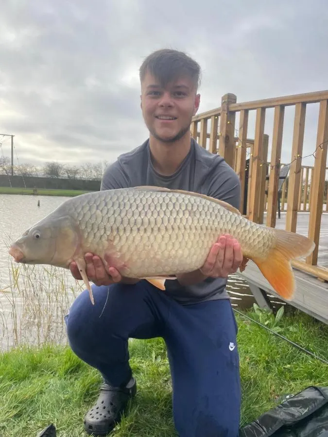 Natural landscape in The Firs Country Park