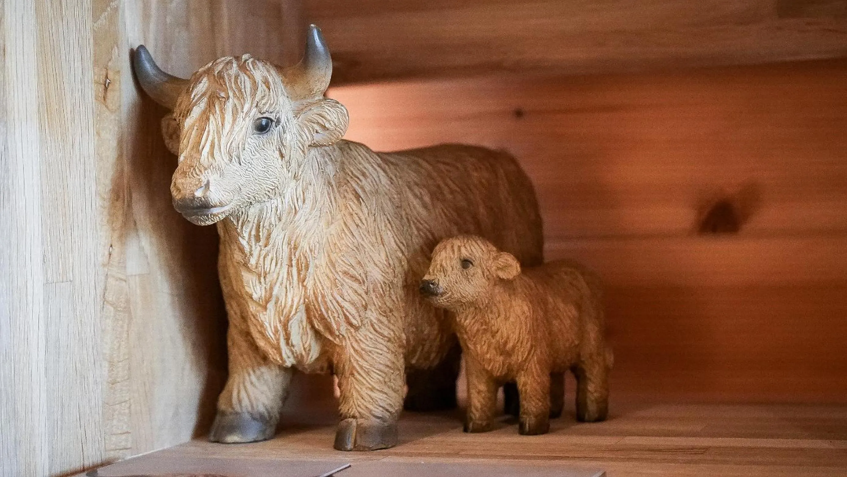 Living room in The Firs Country Park