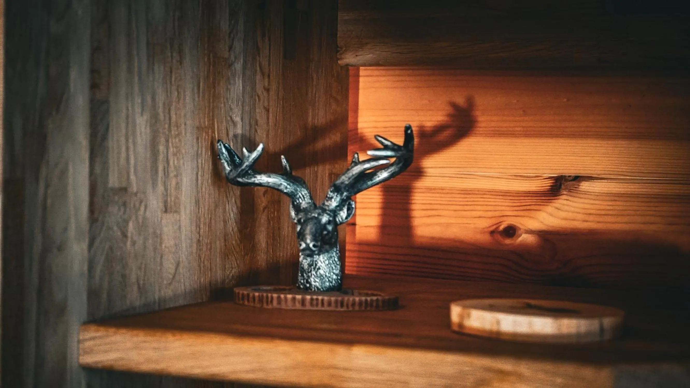 Living room in The Firs Country Park