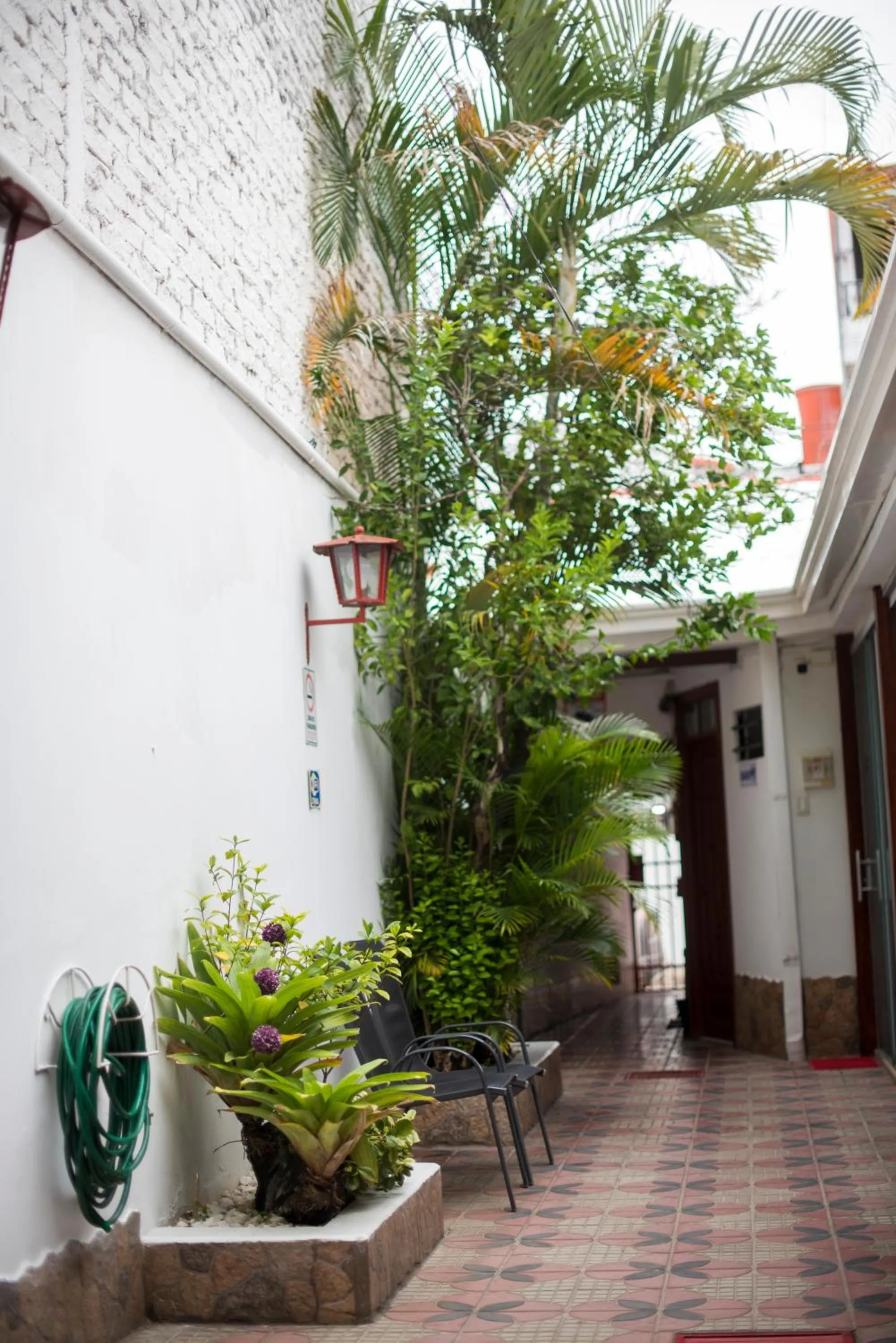 Garden in Buen Retiro Apart Hotel