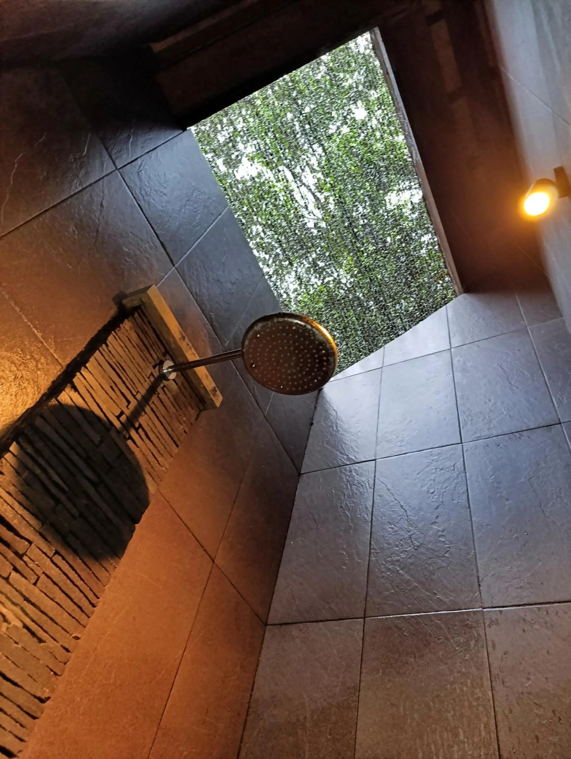 Scallywags Smugglers