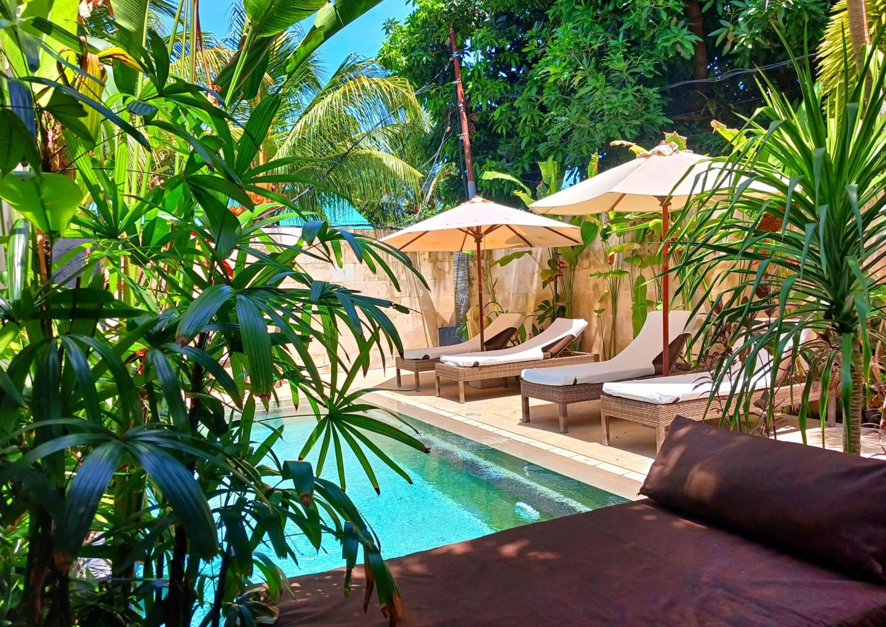 Garden in Scallywags Smugglers