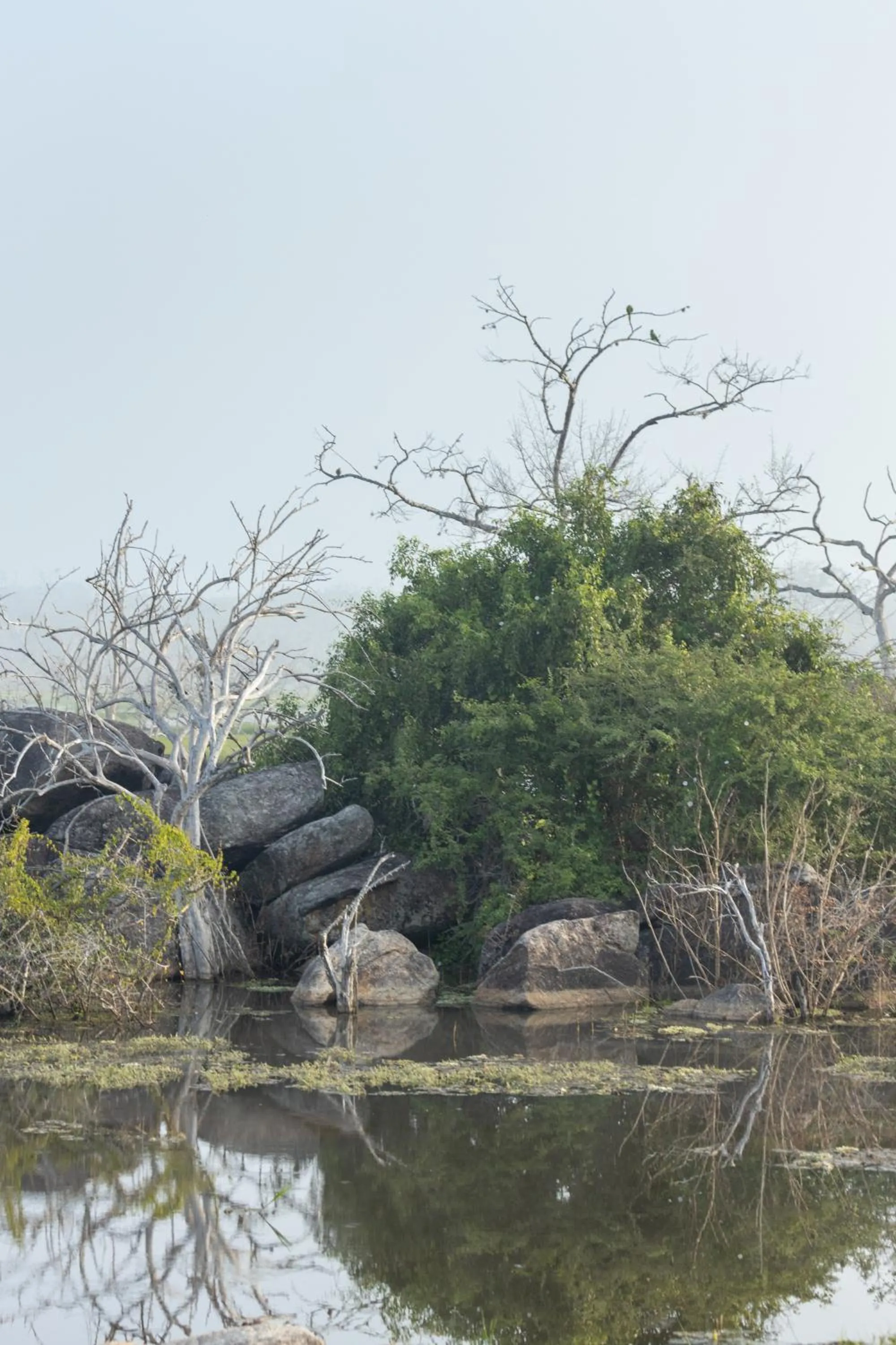 Off site in Koragaha Lodge - Yala