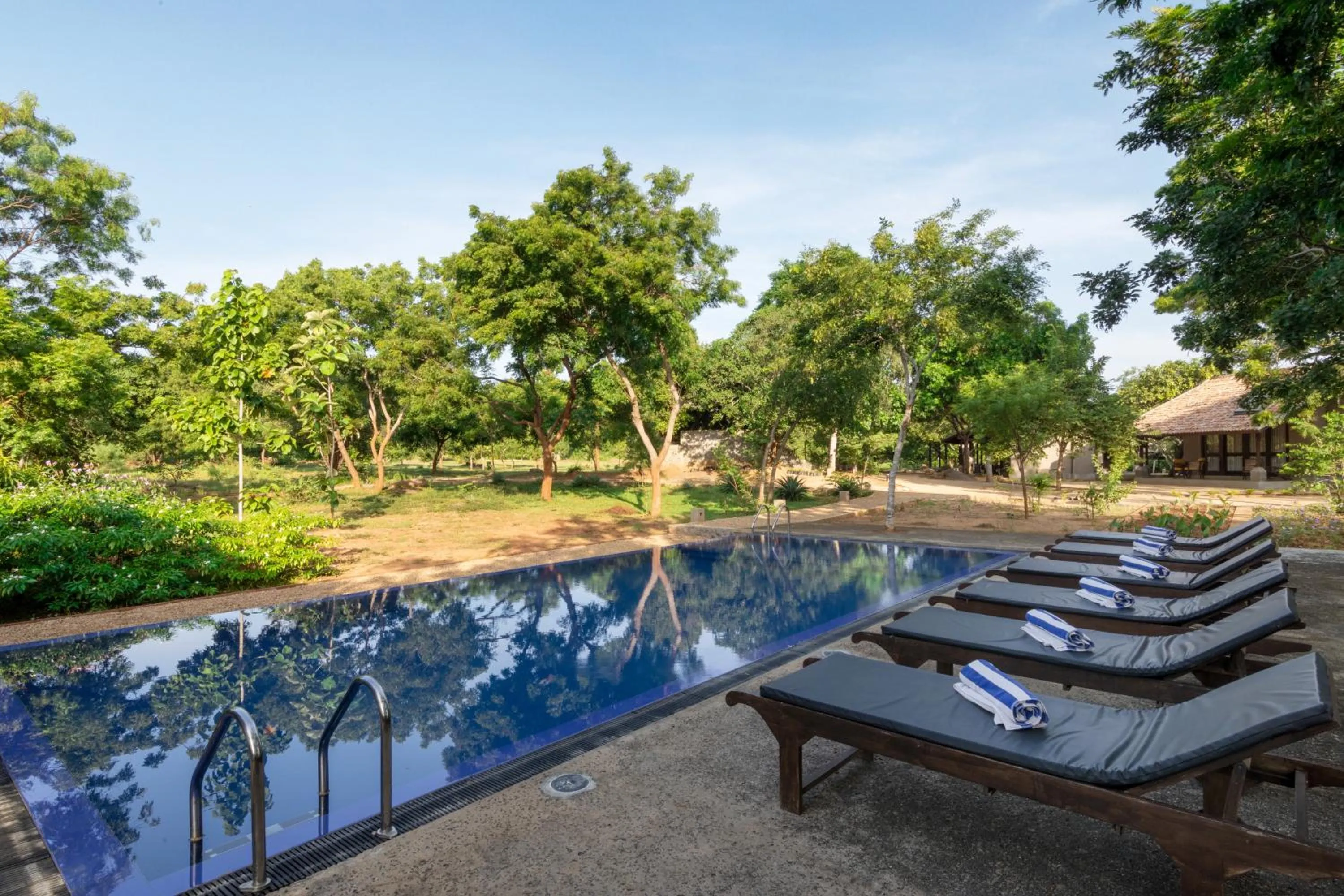 Day in Koragaha Lodge - Yala