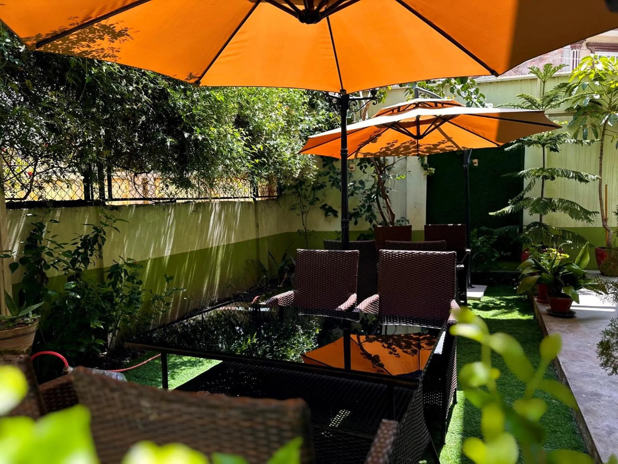 Garden in Shakya House