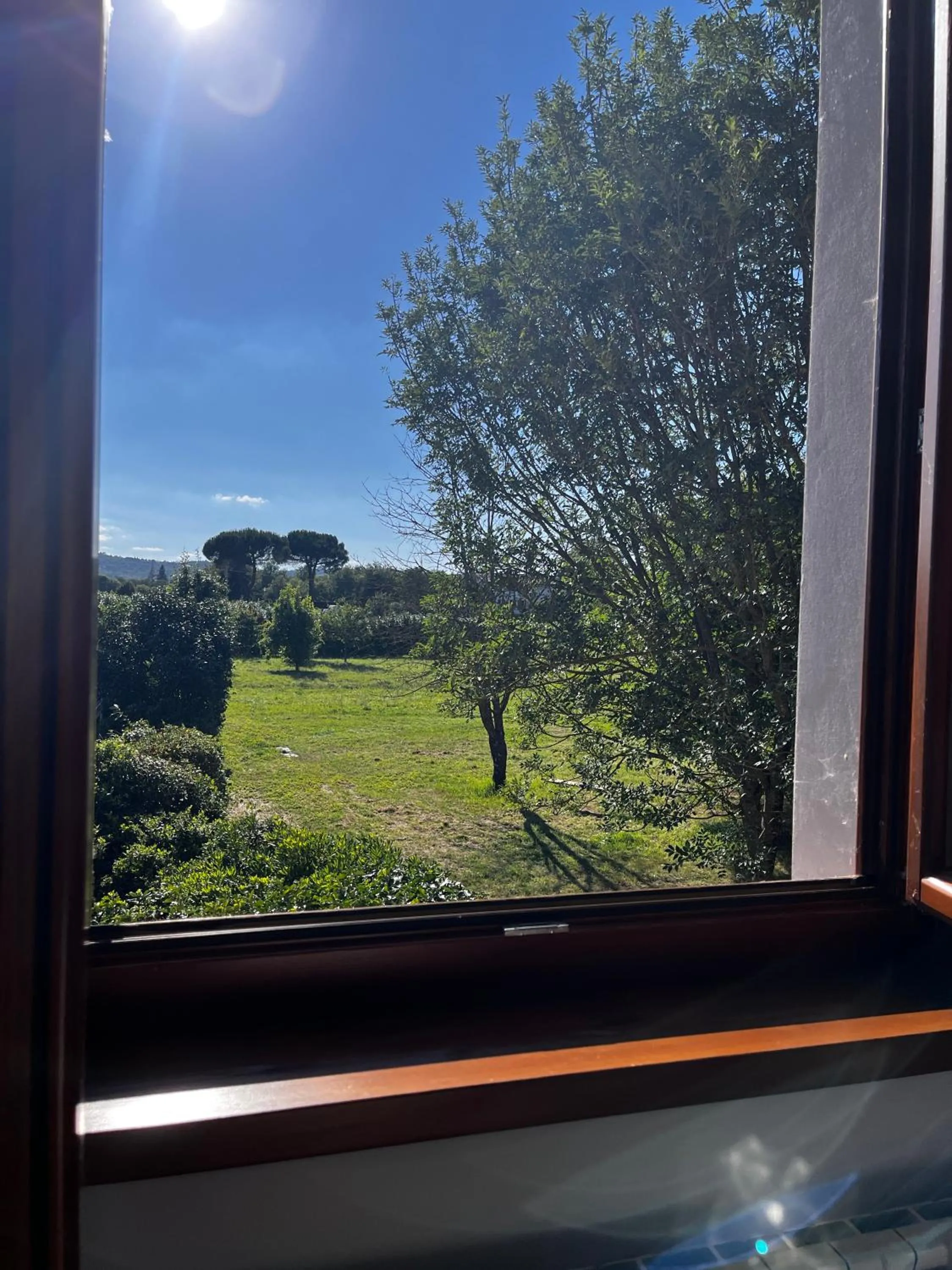 Garden view in The Monna Lisa Resort