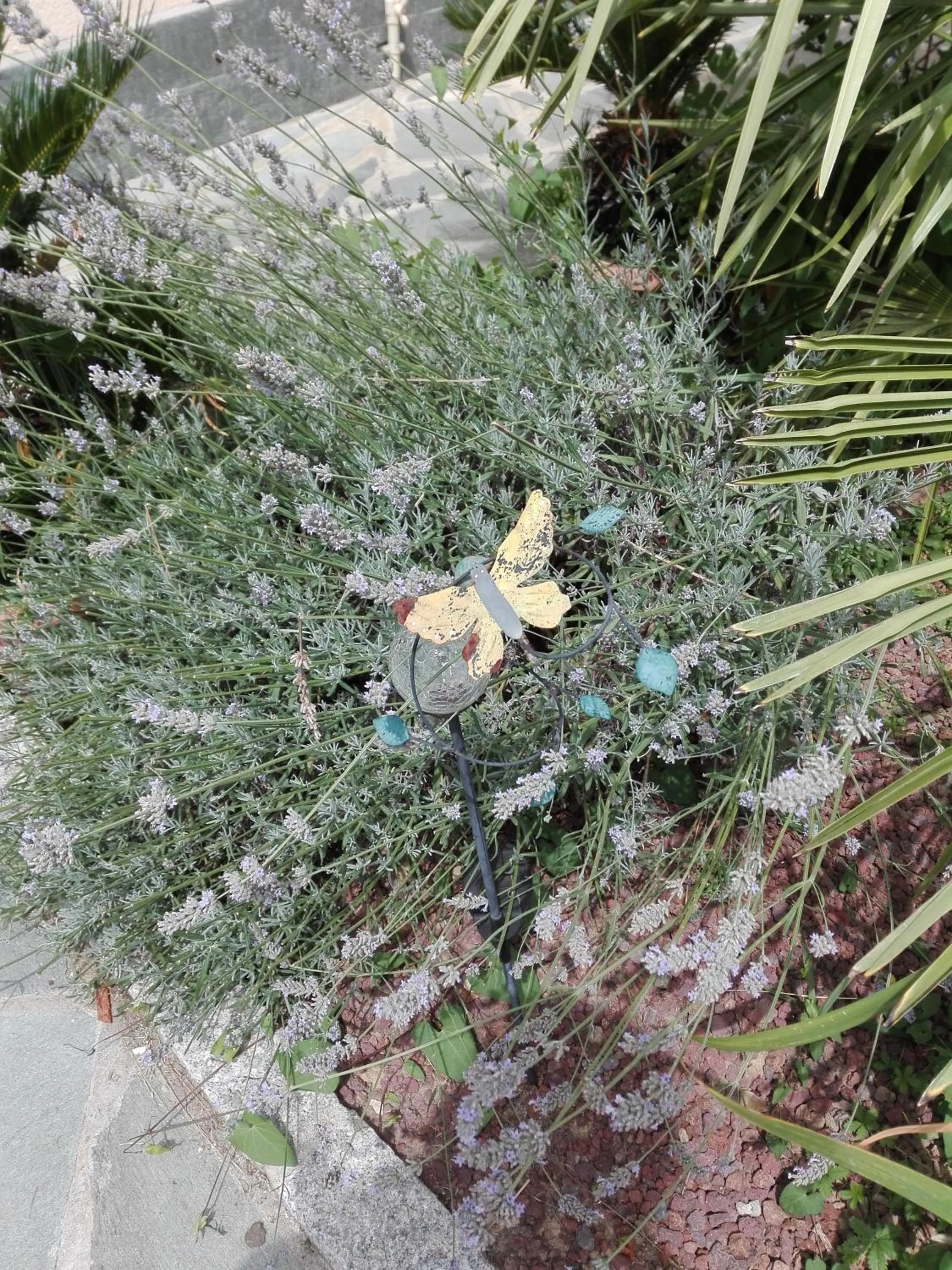 Garden in B & B Ametista Bergamo