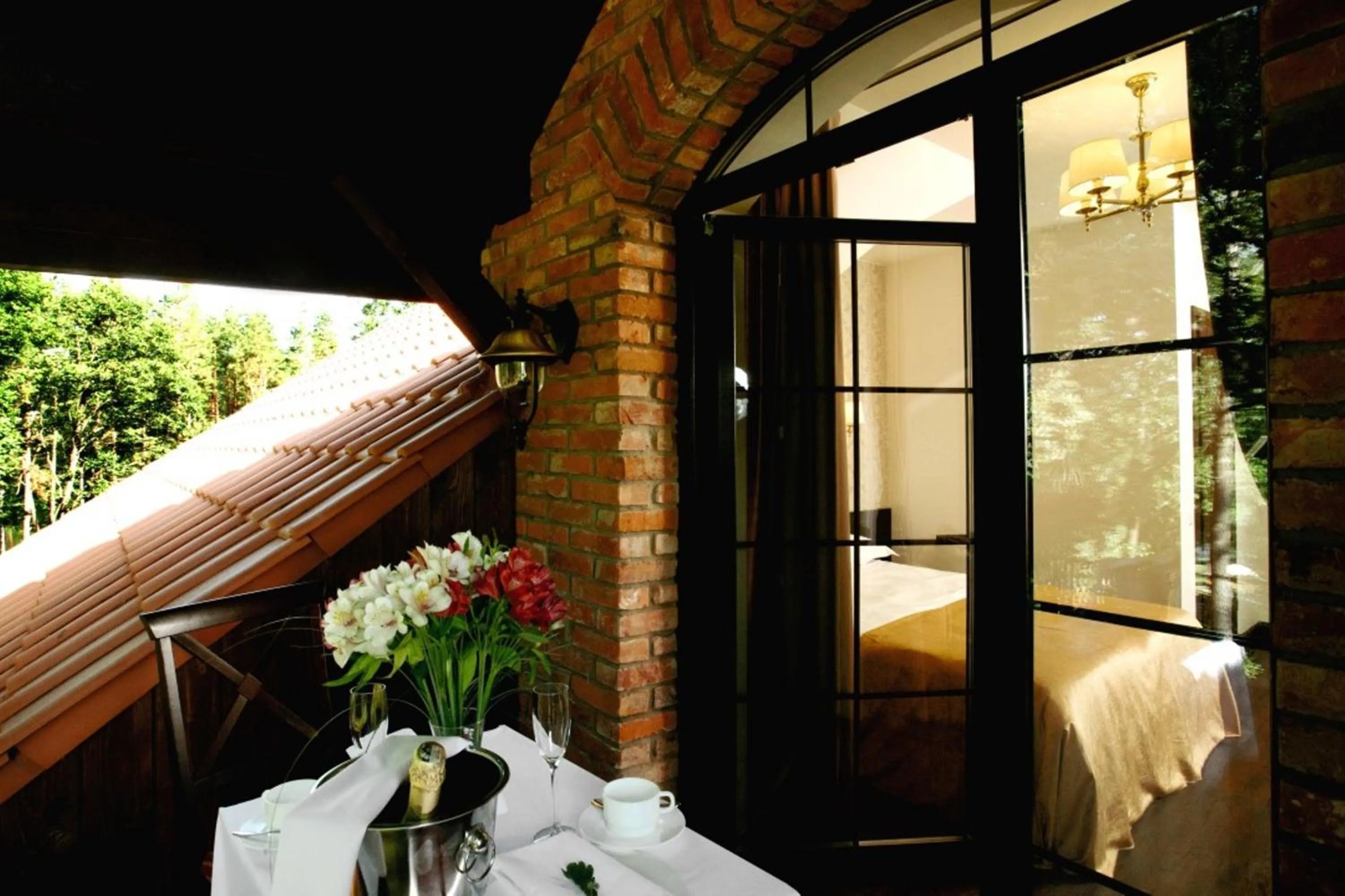 TV and multimedia in Dzūkijos dvaras