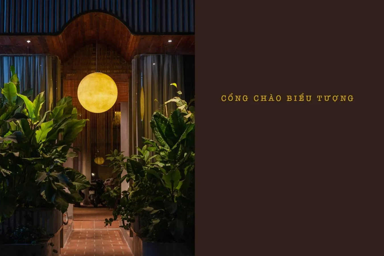 Night in 5 homestay 1