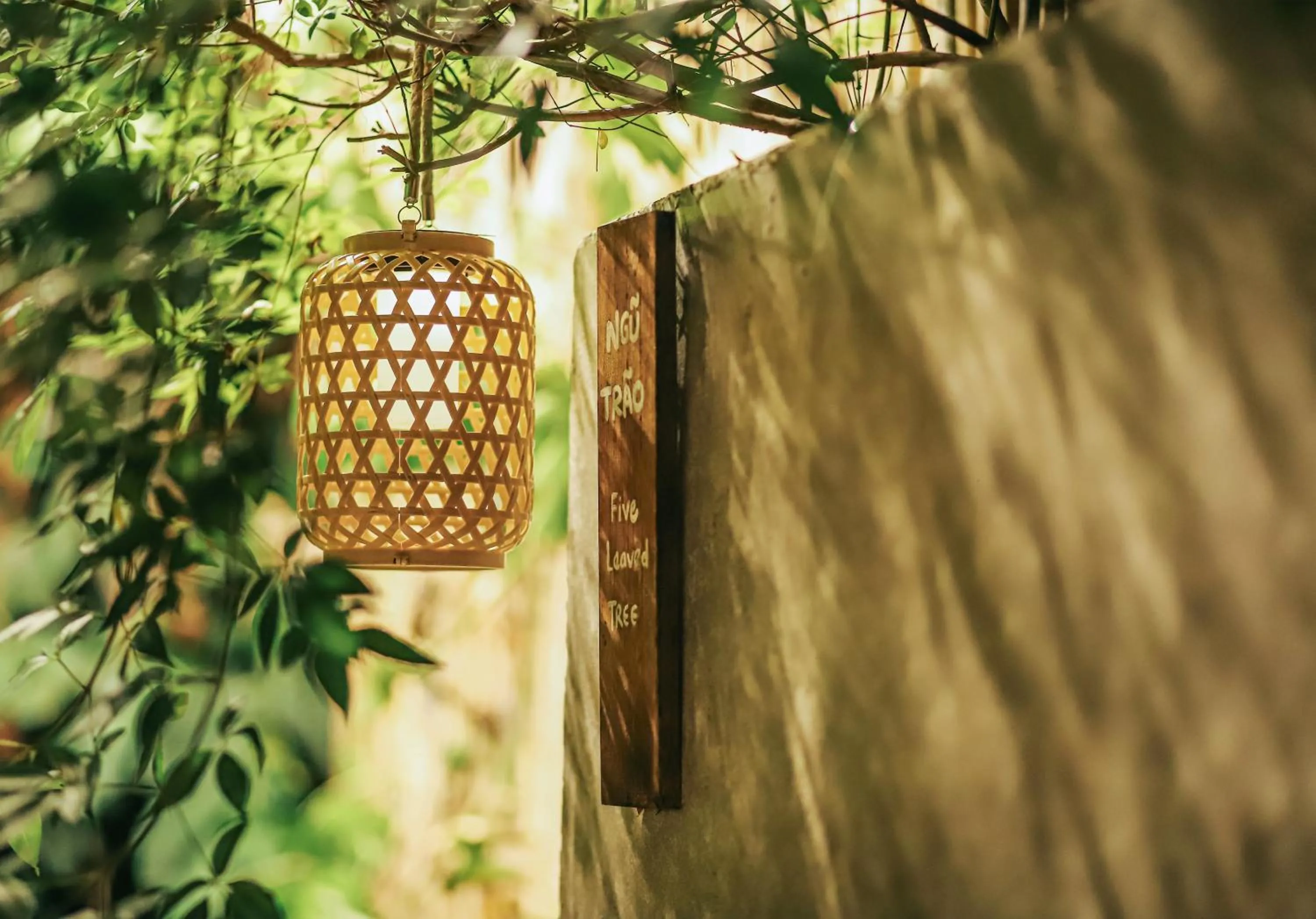 Patio in 5 homestay 1