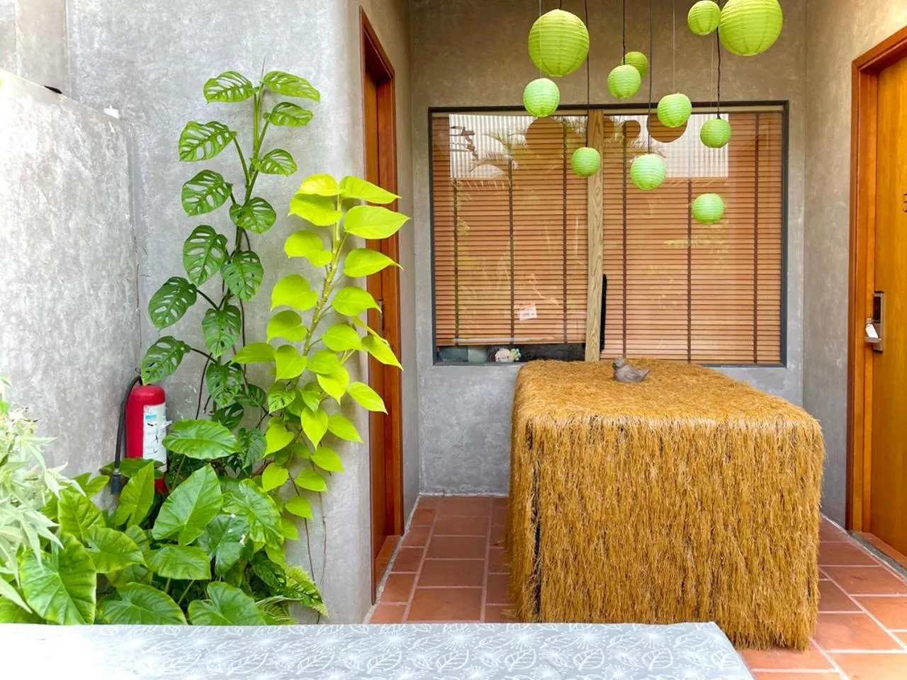 Garden in 5 homestay 1