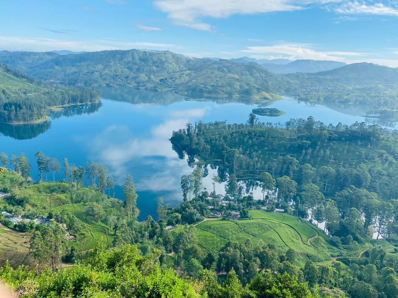 Natural landscape in Daddy's Guest