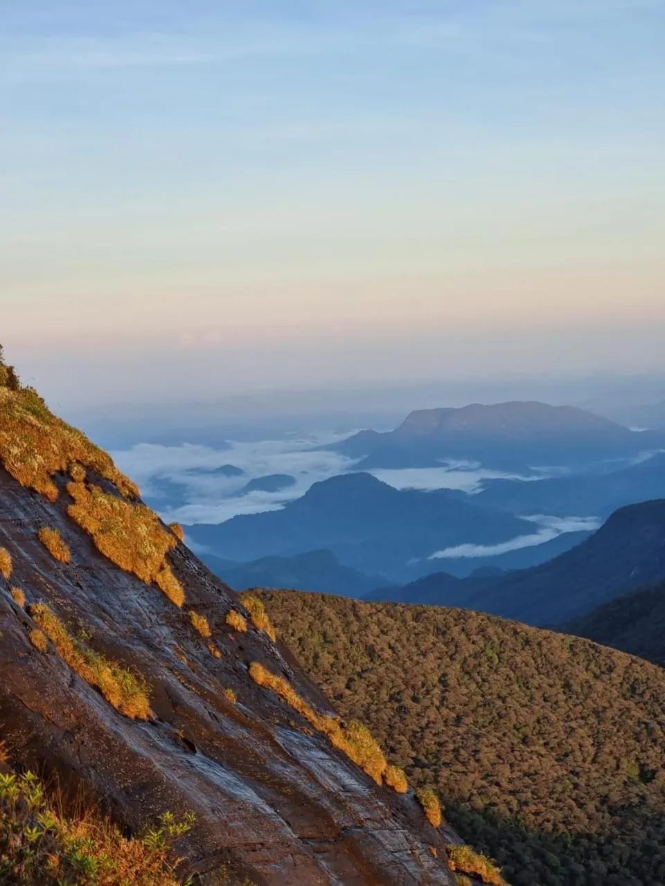 Hiking in Daddy's Guest