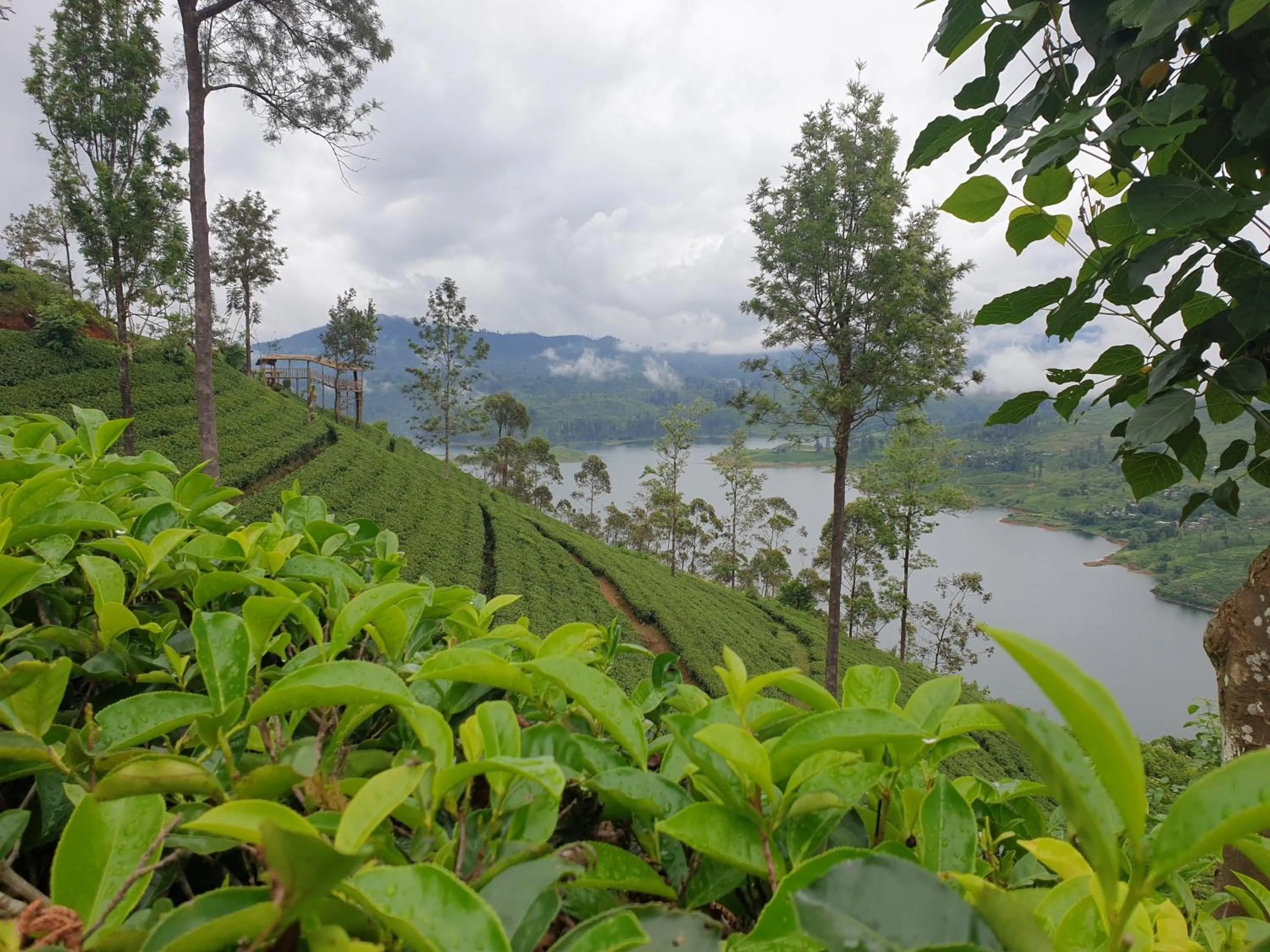 River view in Daddy's Guest