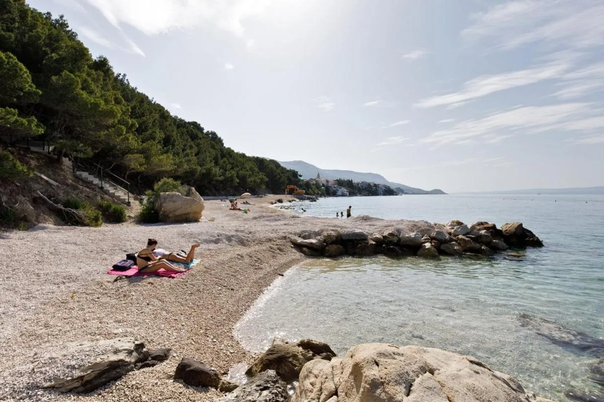 Beach in Ark Beach Apartments