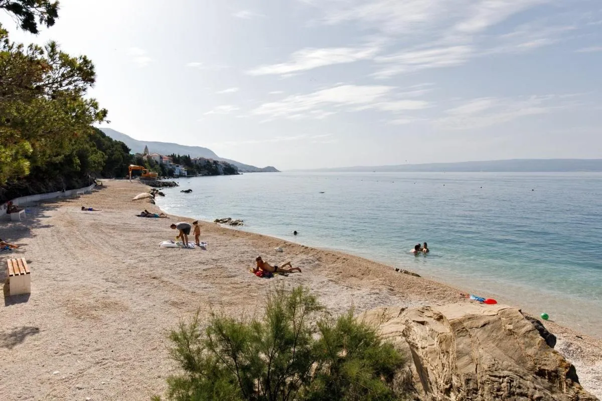 Beach in Ark Beach Apartments