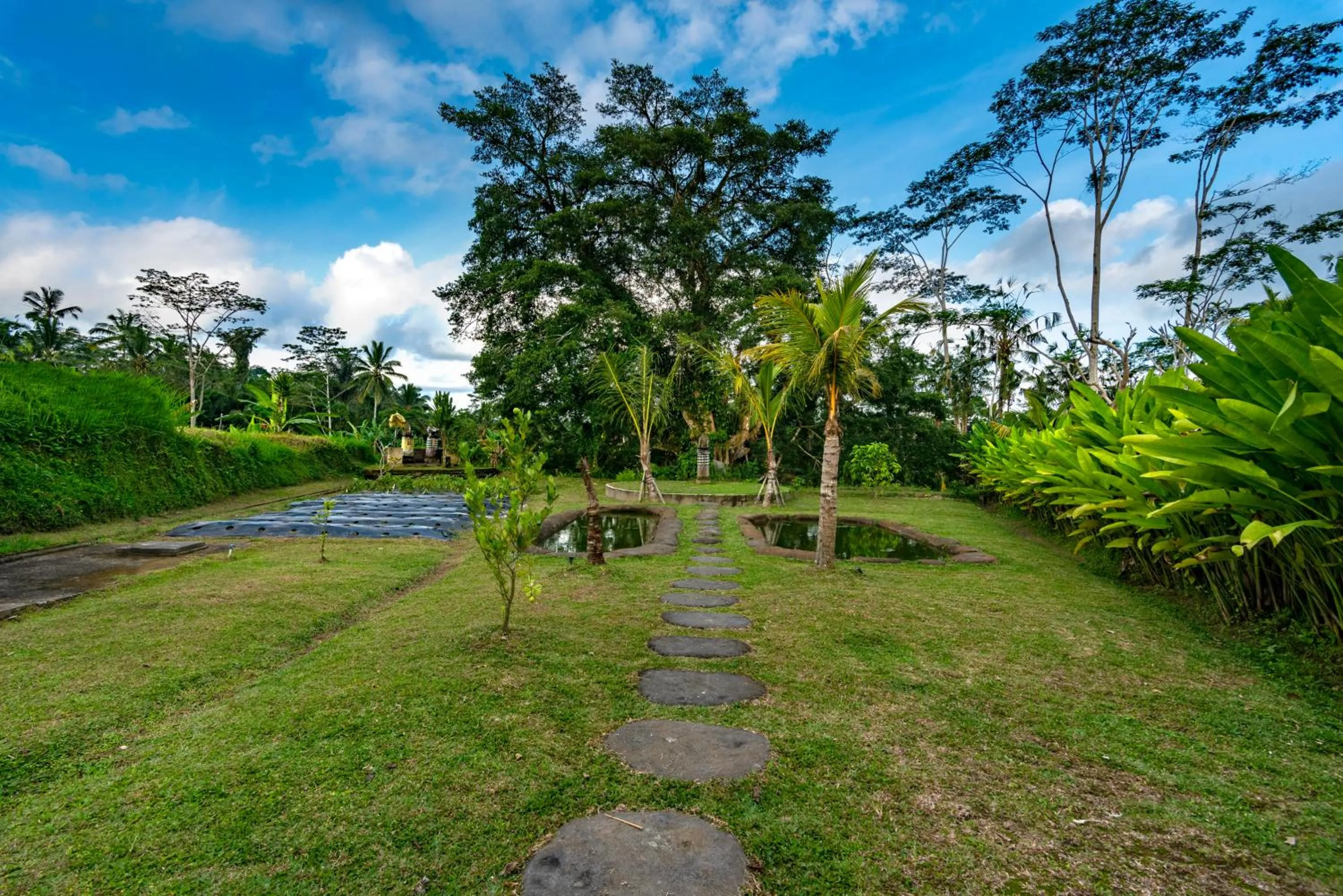 Day in Tiare Villa Ubud by Dhananjaya Hospitality
