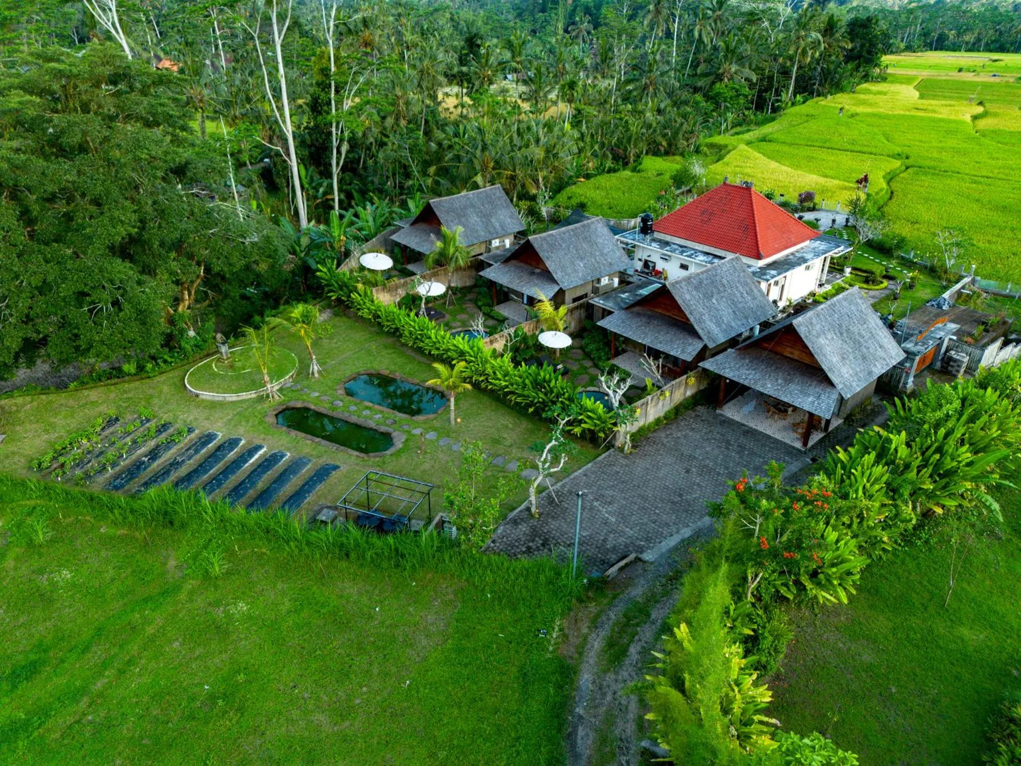 Property building in Tiare Villa Ubud by Dhananjaya Hospitality