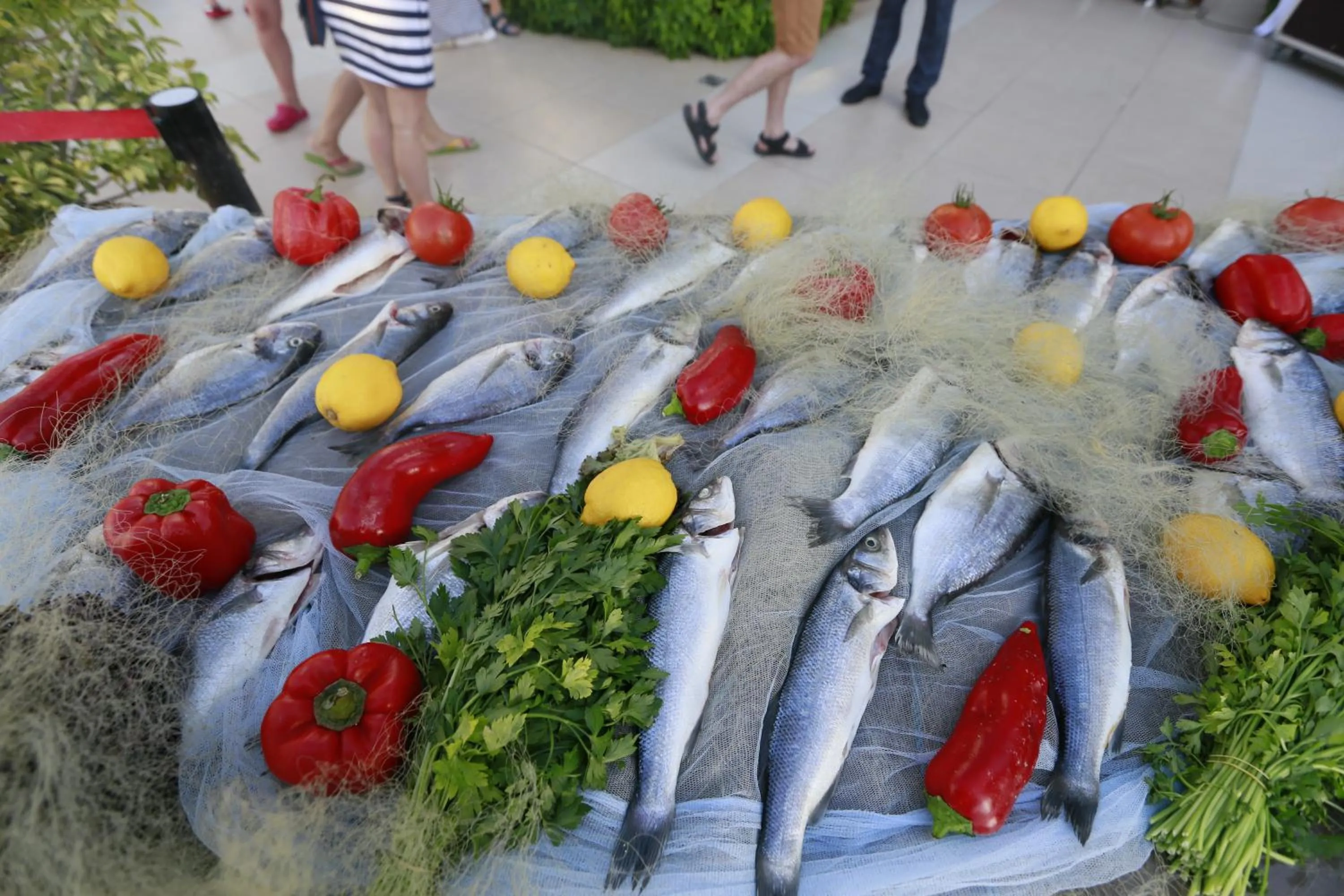 Food in Turunc Resort Hotel