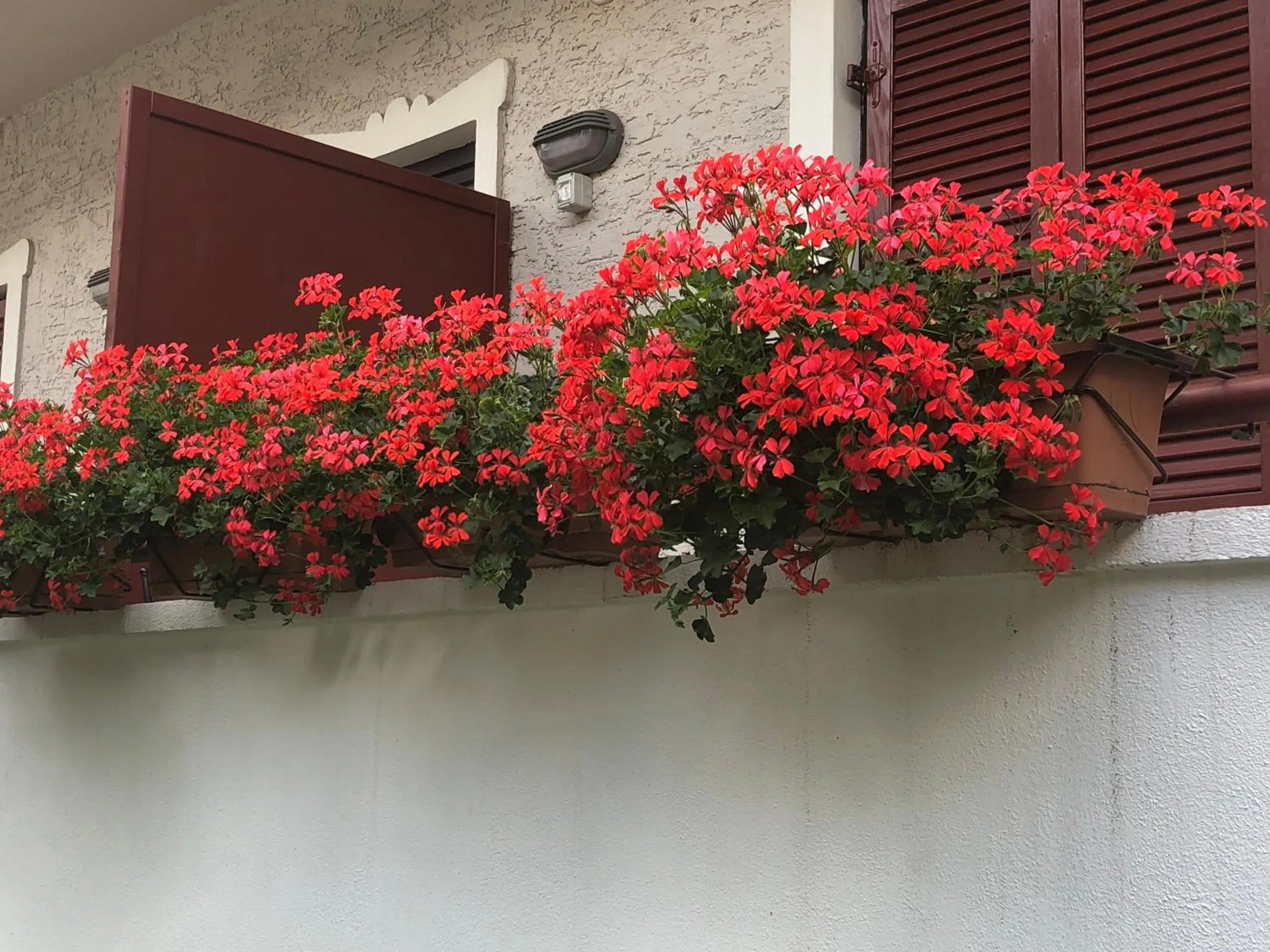 Balcony/Terrace in Garni Villa Betty