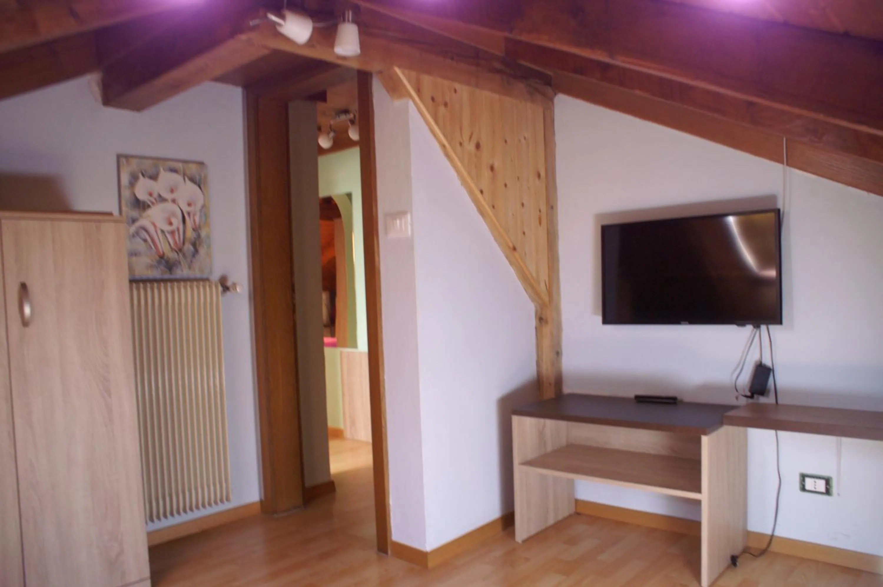 TV and multimedia in Garni Villa Betty