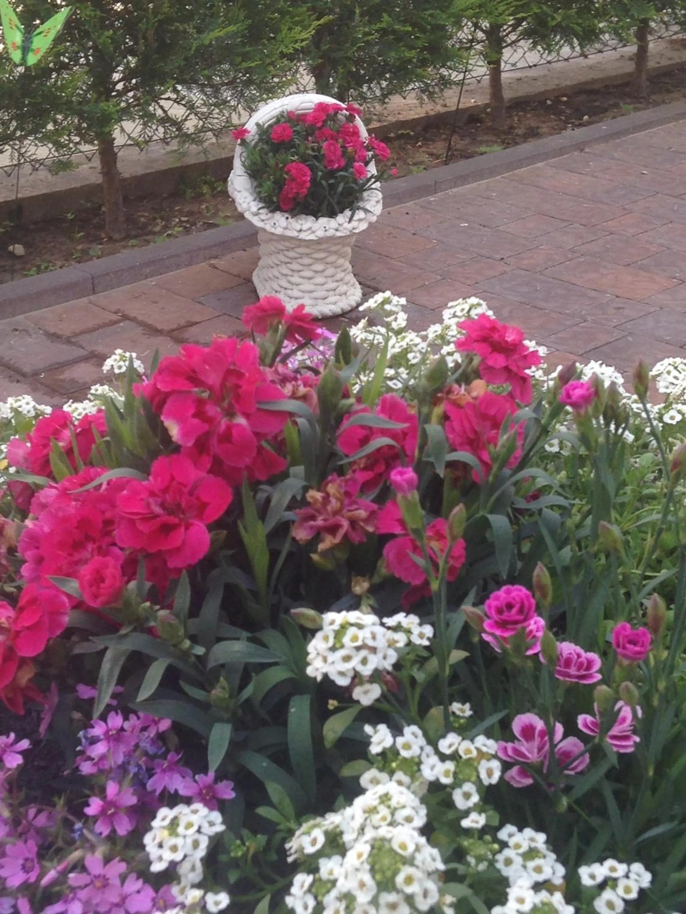 Garden in Garni Villa Betty