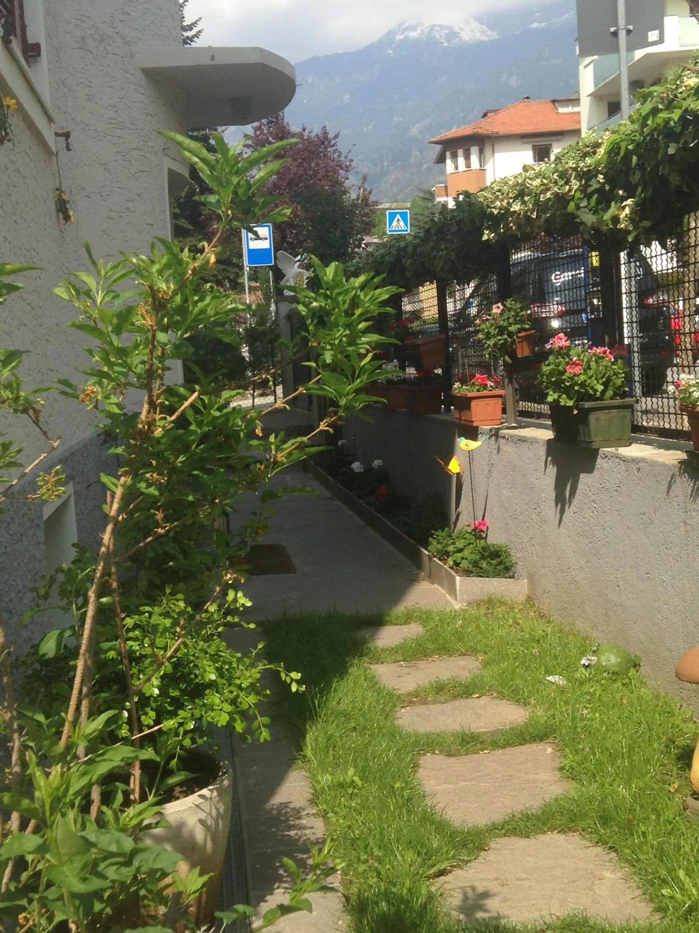 Garden in Garni Villa Betty