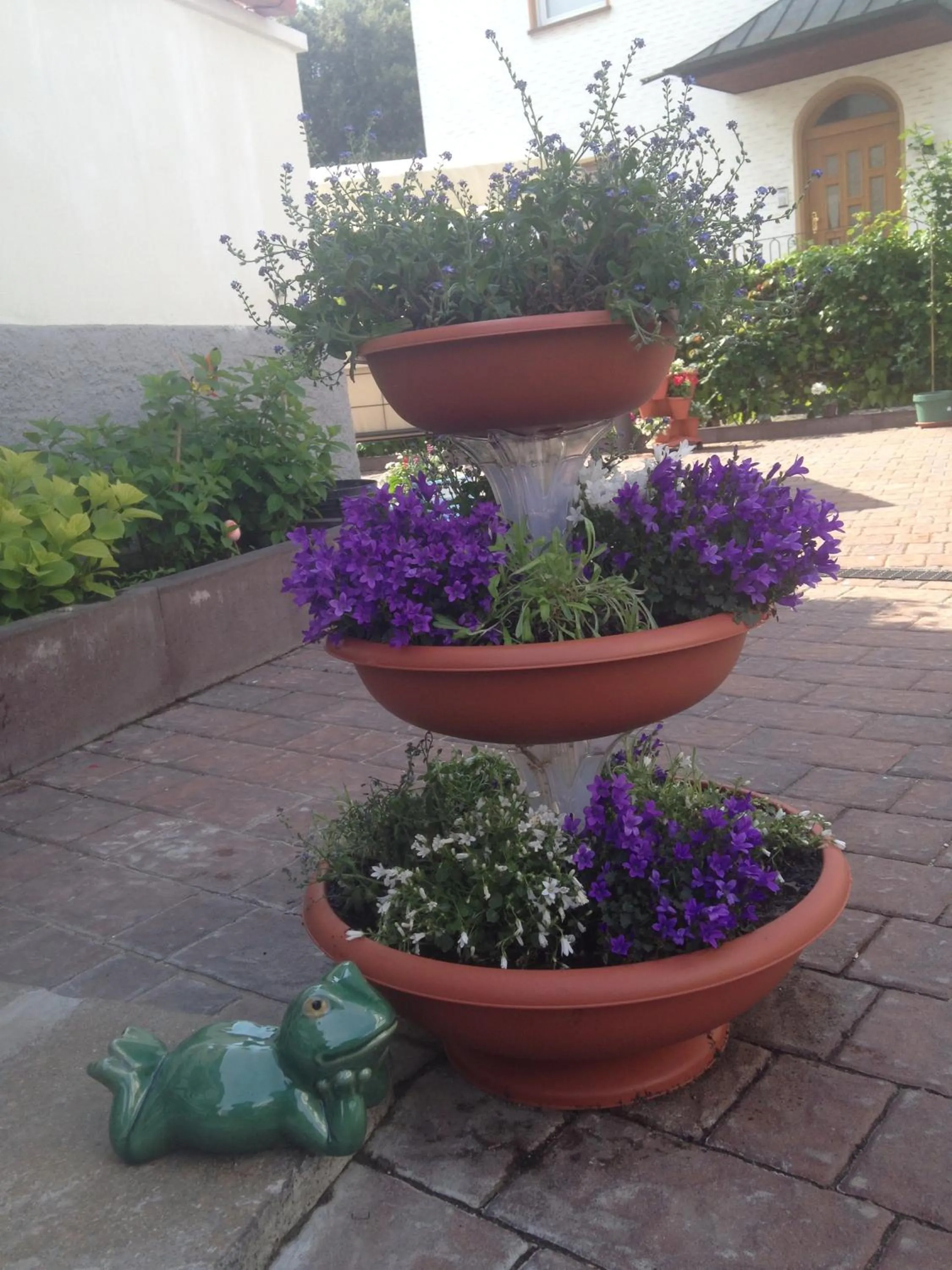 Garden in Garni Villa Betty